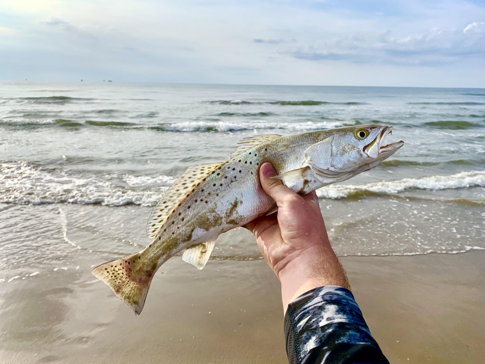 The surf trout fishing is hot right now! r/TXoutdoors