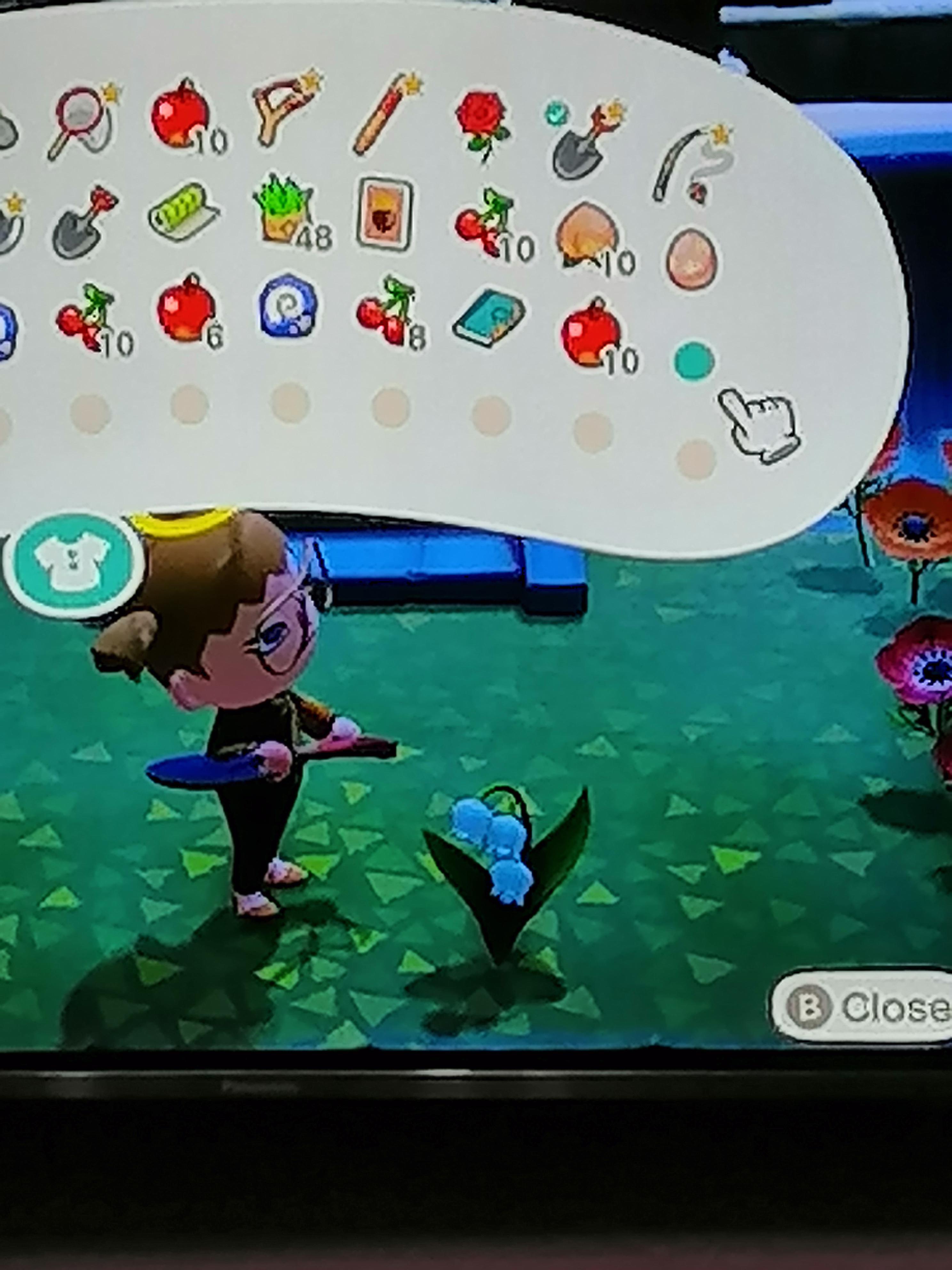 Animal Crossing No Lily Of The Valley WANIMALE