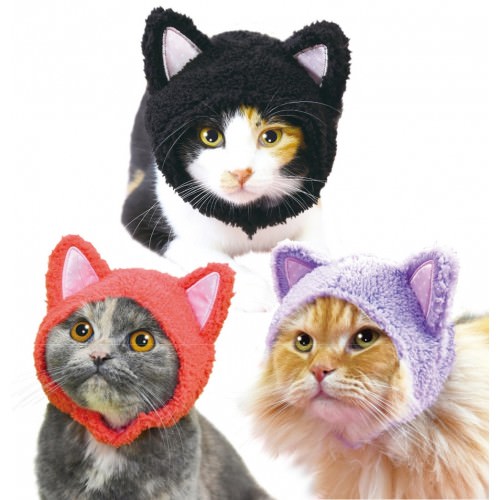 Ear warmer for cats r/ofcoursethatsathing