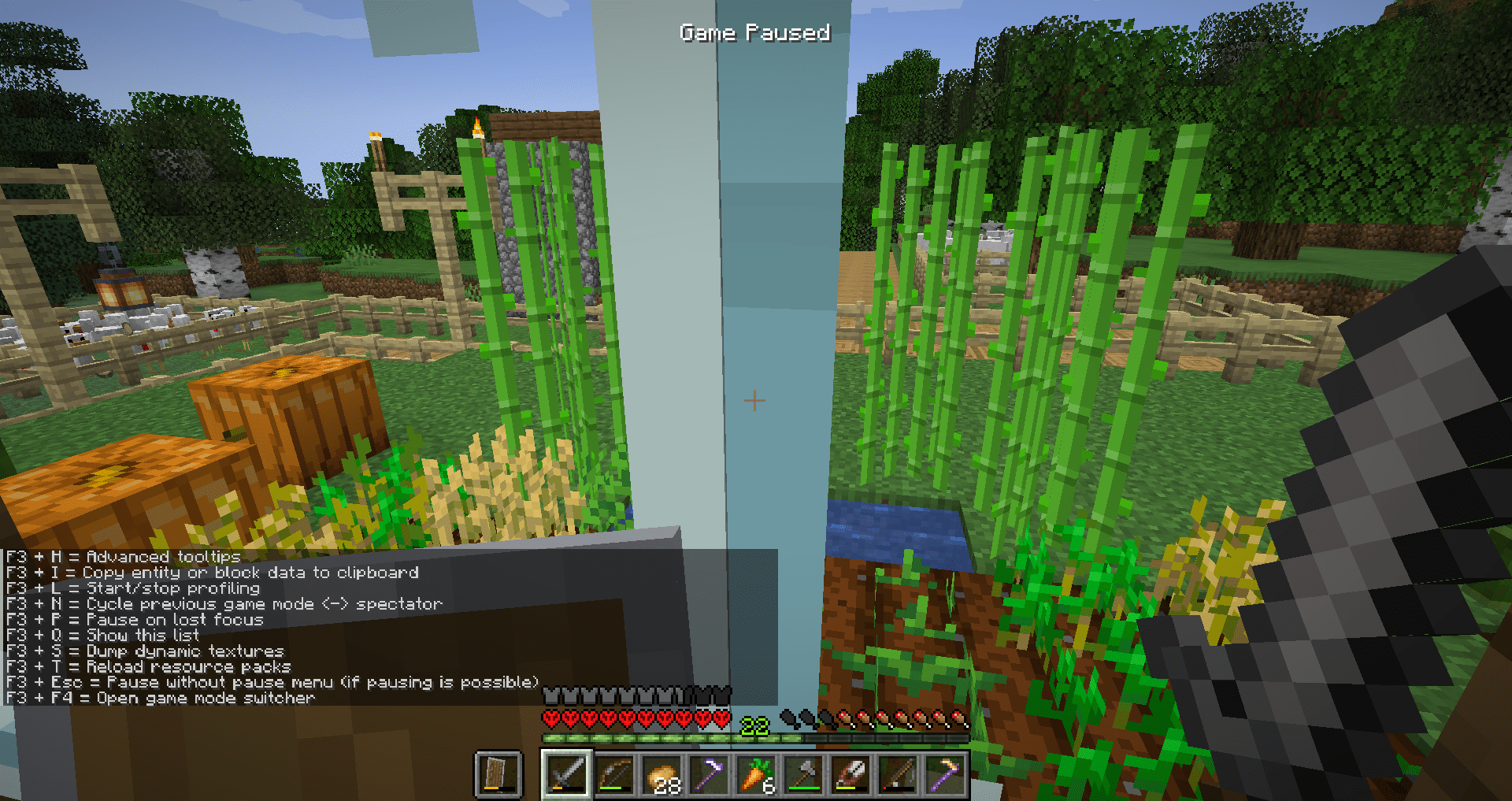 bro I just realized that F3 + Esc on Java pauses the game without the