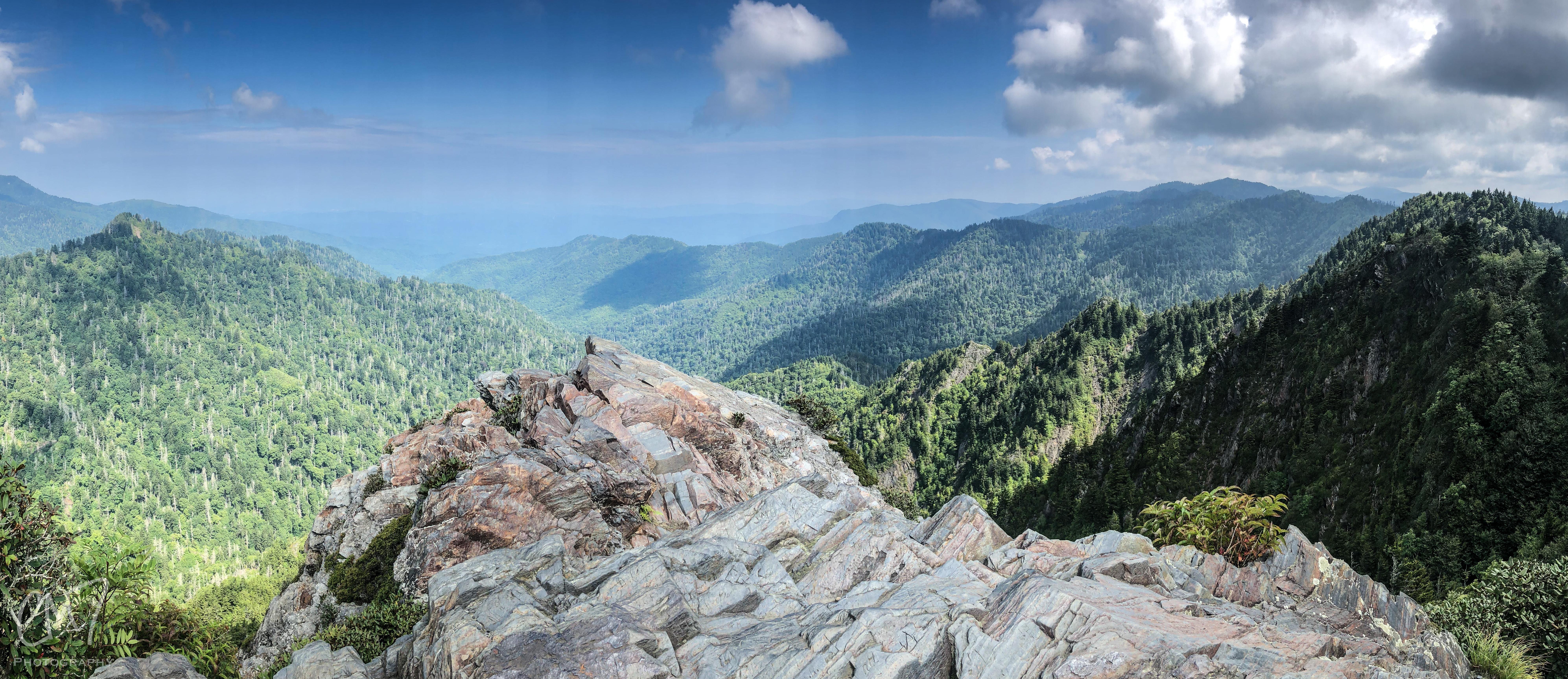 Hiked 8 miles on the Appalachian Trail in the Great Smoky Mountains