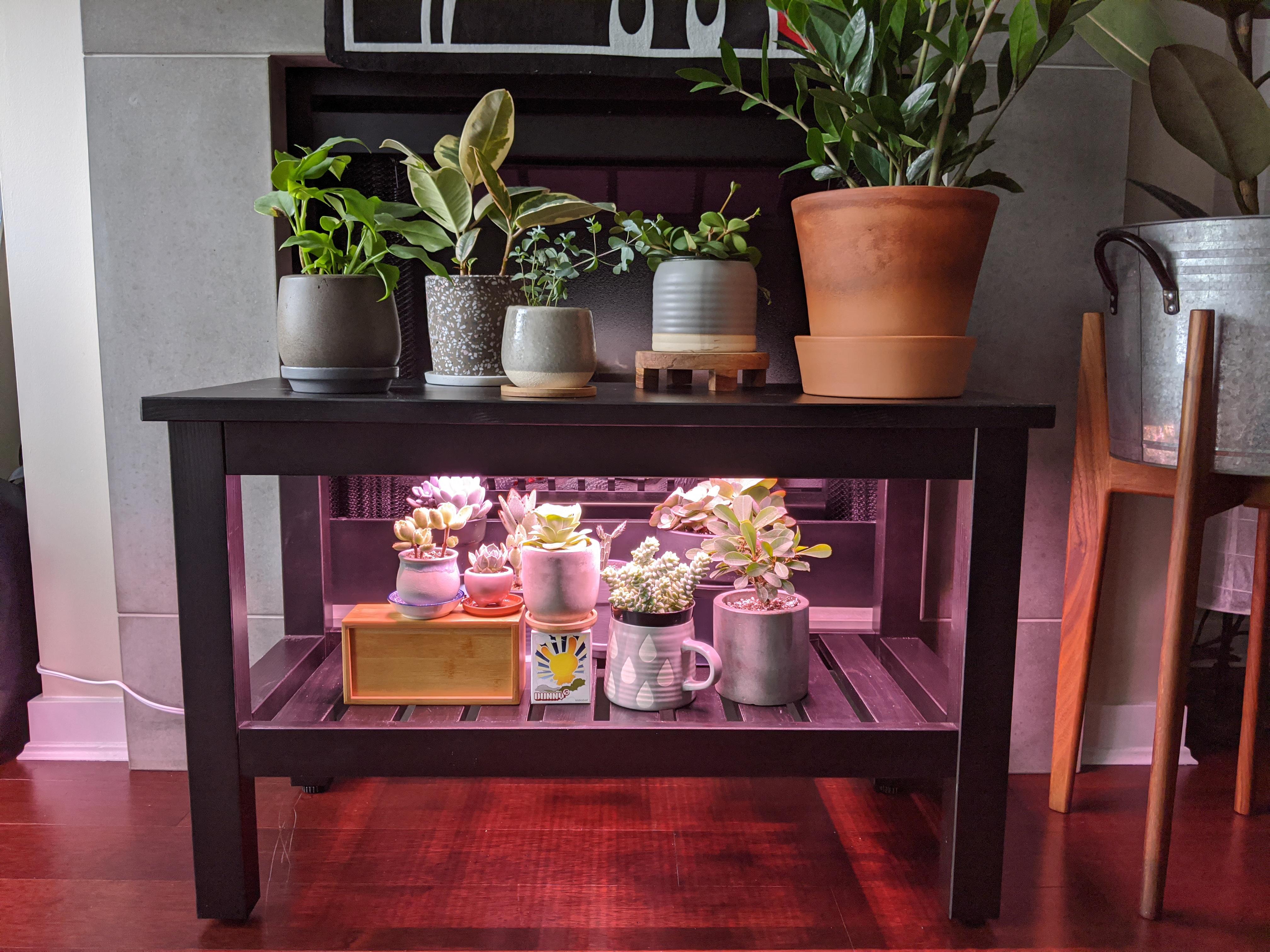 Finished the new grow light/plant shelf setup! IKEA Hemnes bench with