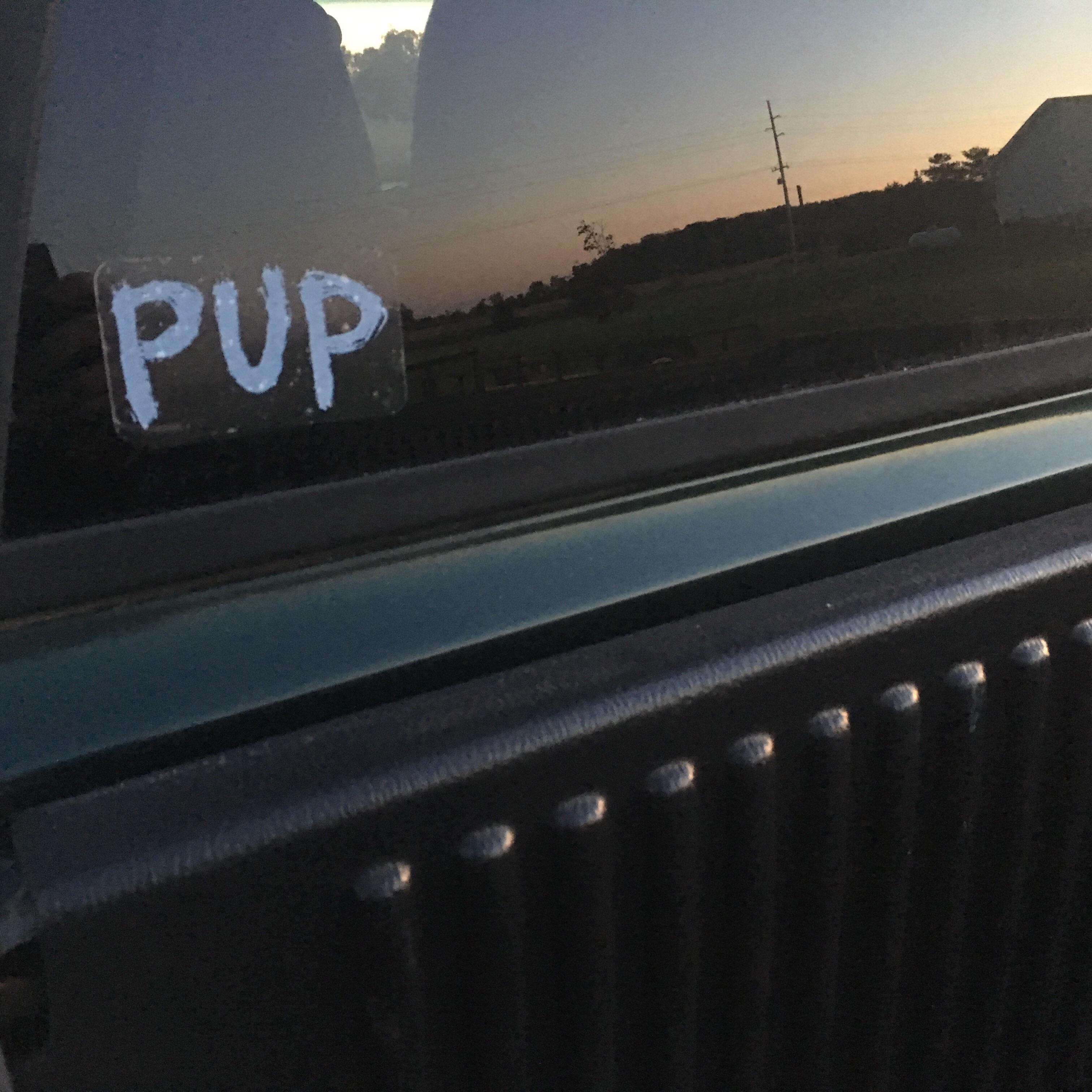 I put a PUP sticker on the back of my car. Free Publicity. r/puptheband