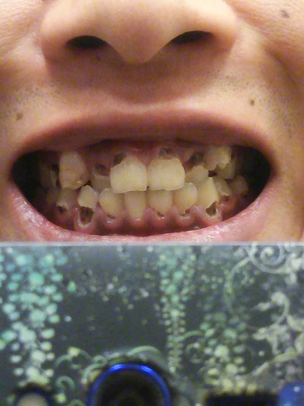 SAY SWISS CHEESE!!!! r/ummumm