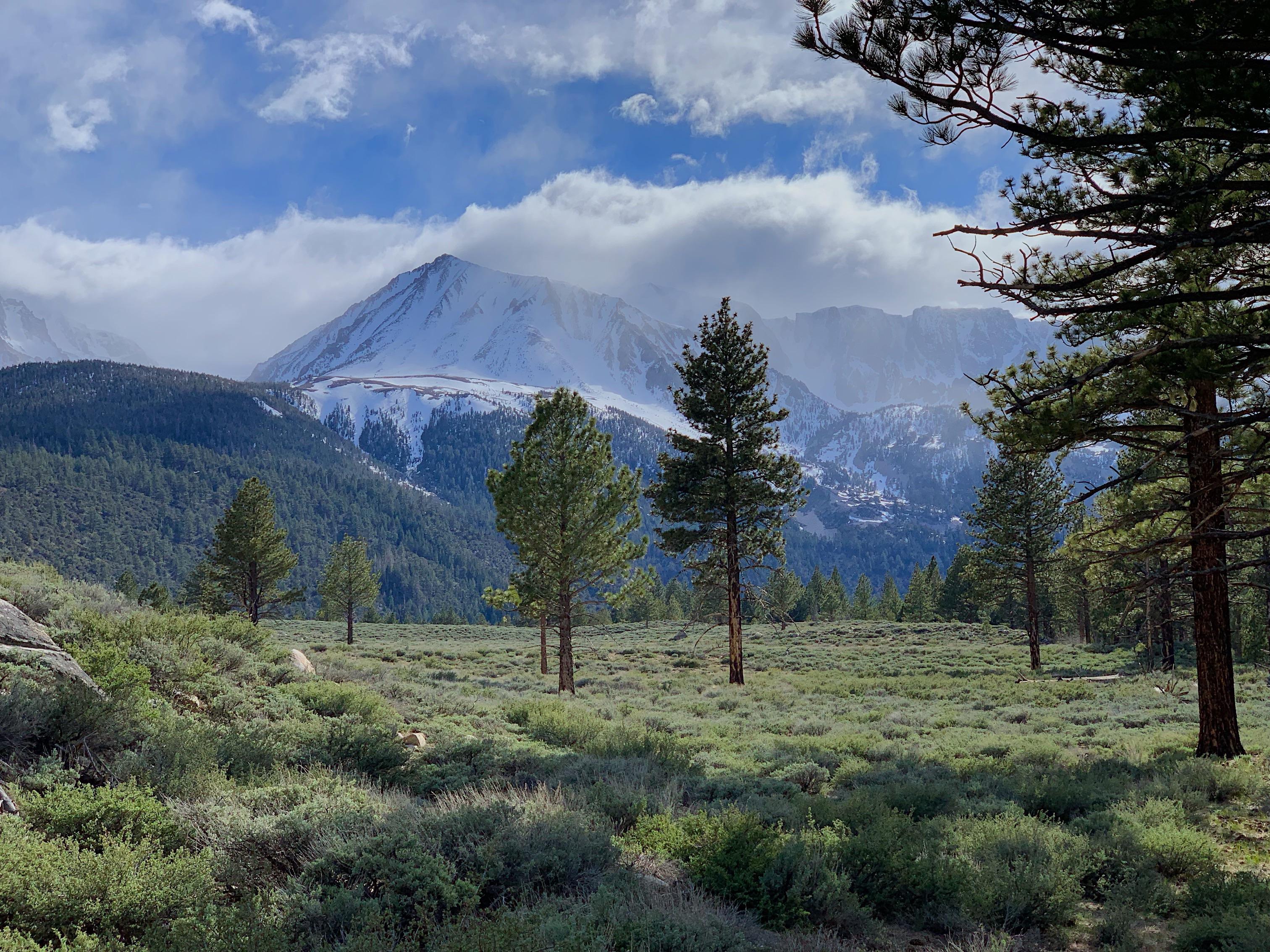 Lee Vining, CA [OC] [3024x2268] r/EarthPorn