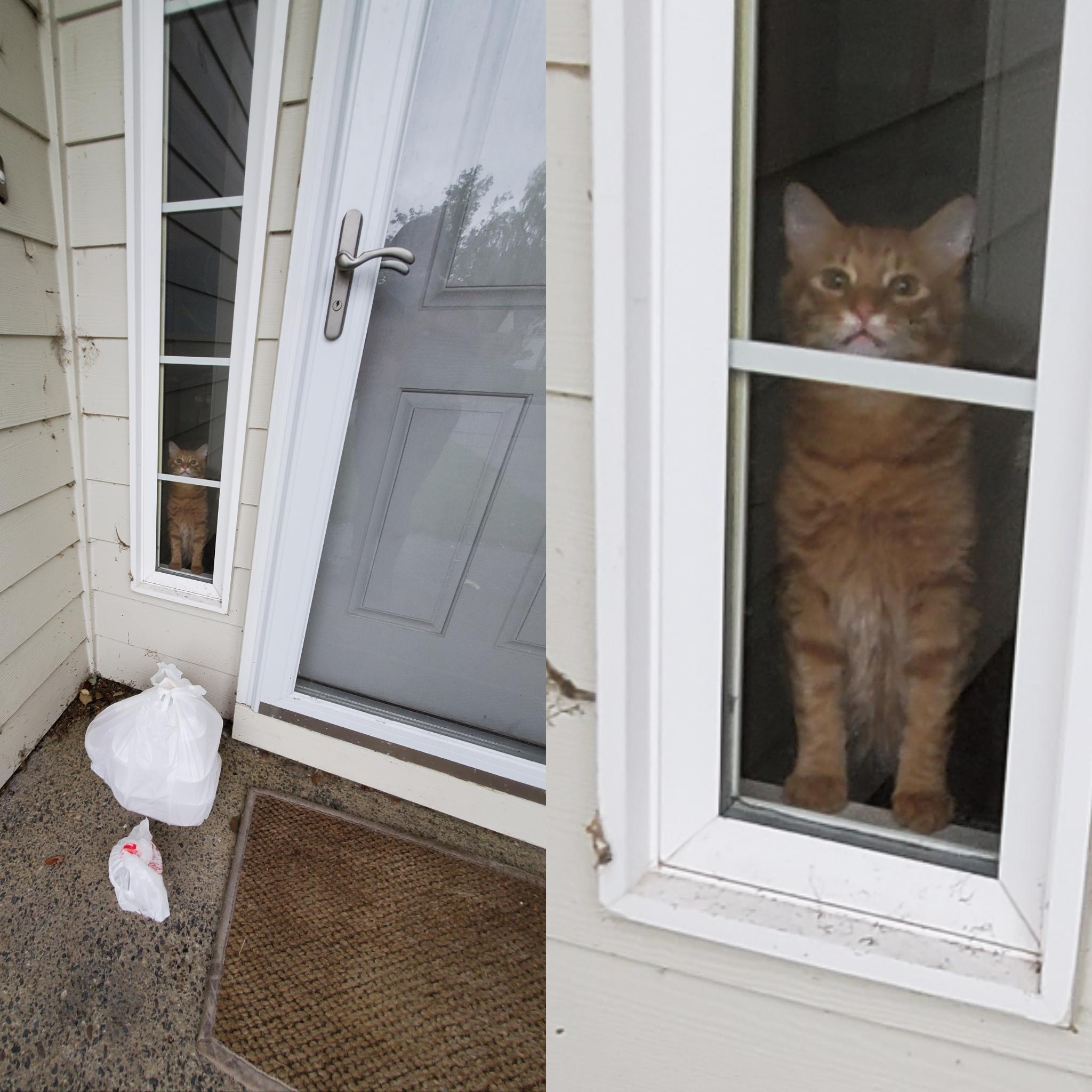 Look at this good watch dog right here... r/doordash