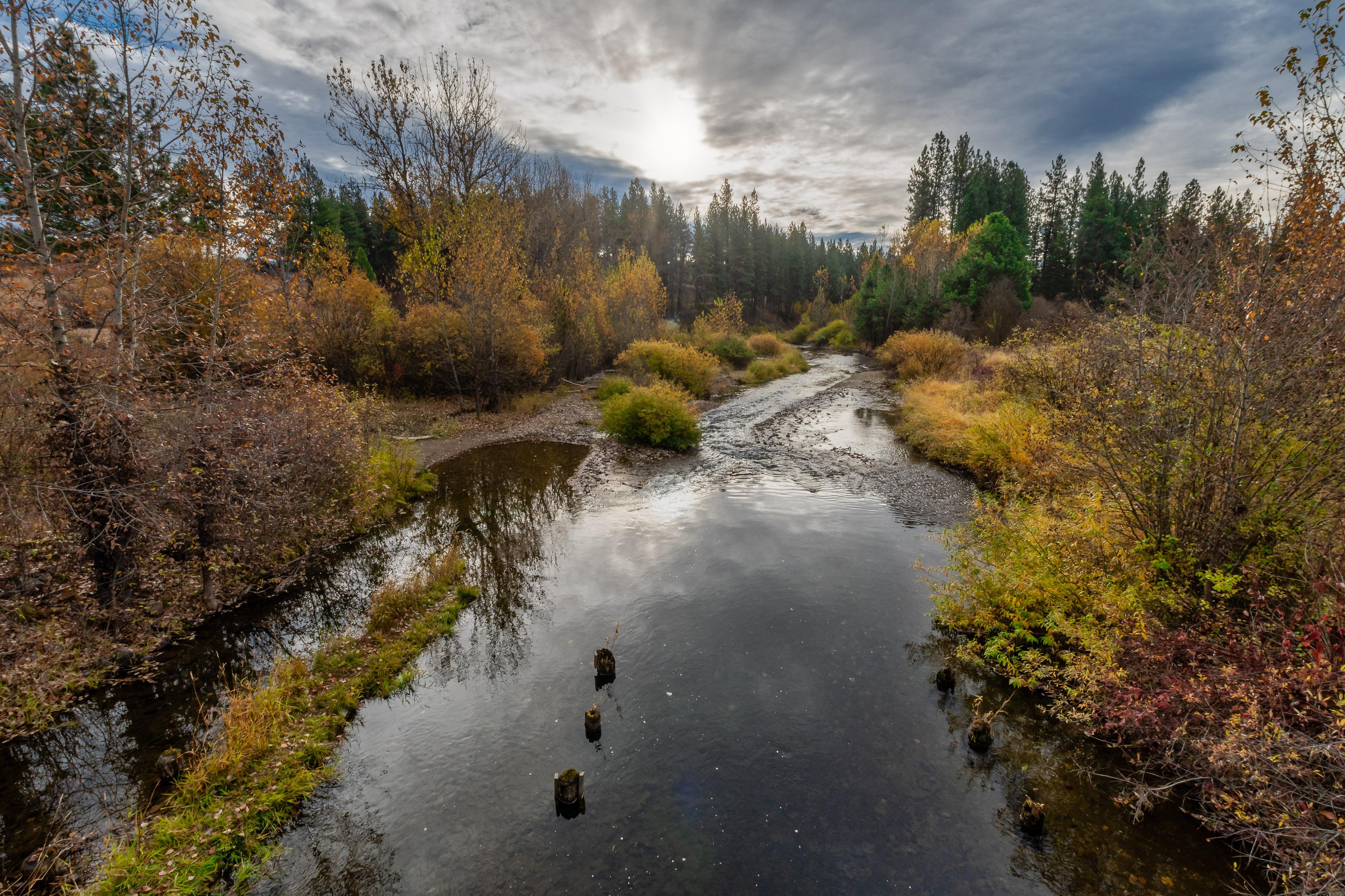 Autumn morning in the Nine Mile Valley r/Montana