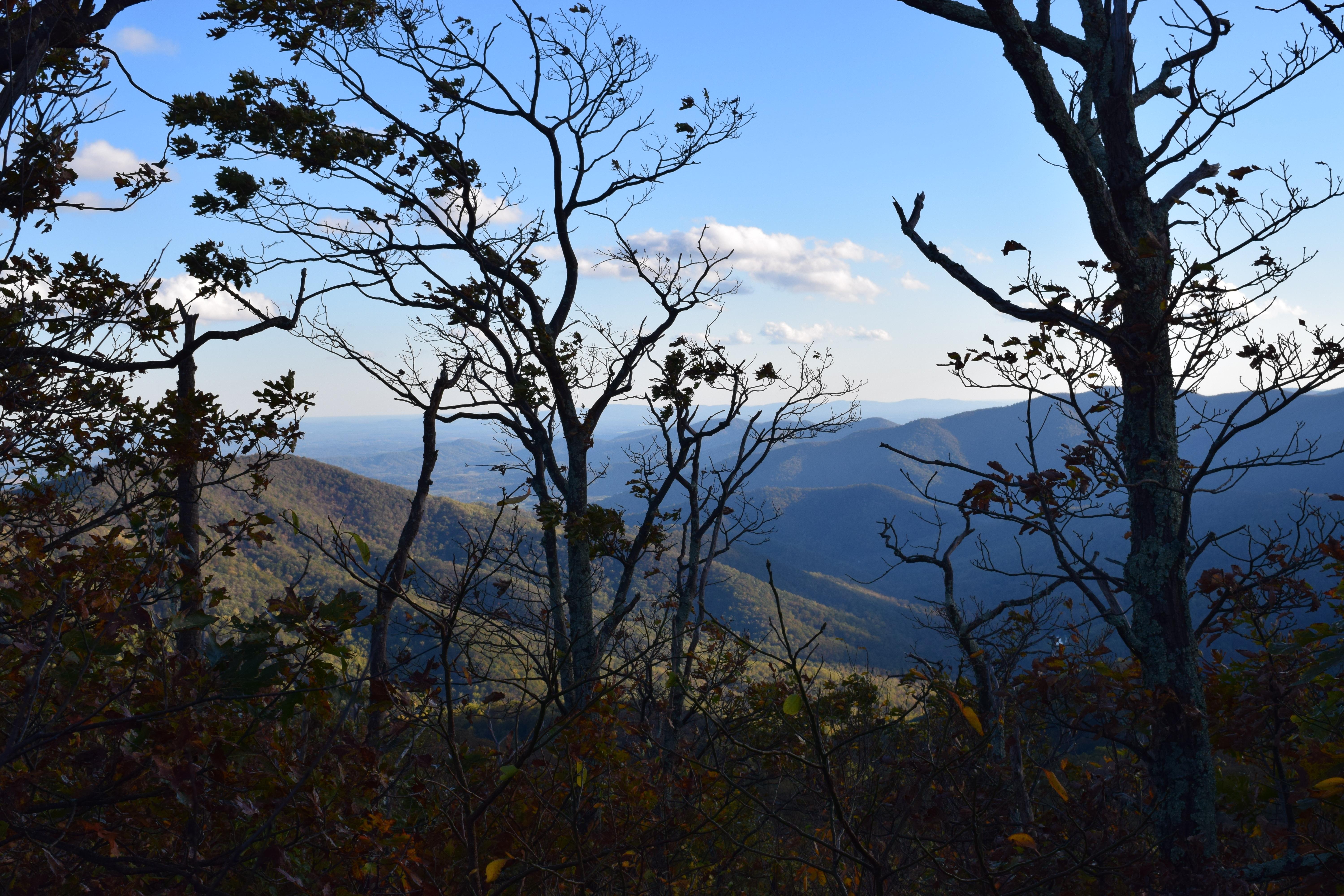A decent view from our campsite this past weekend. Robertson Mountain Shenandoah National Park