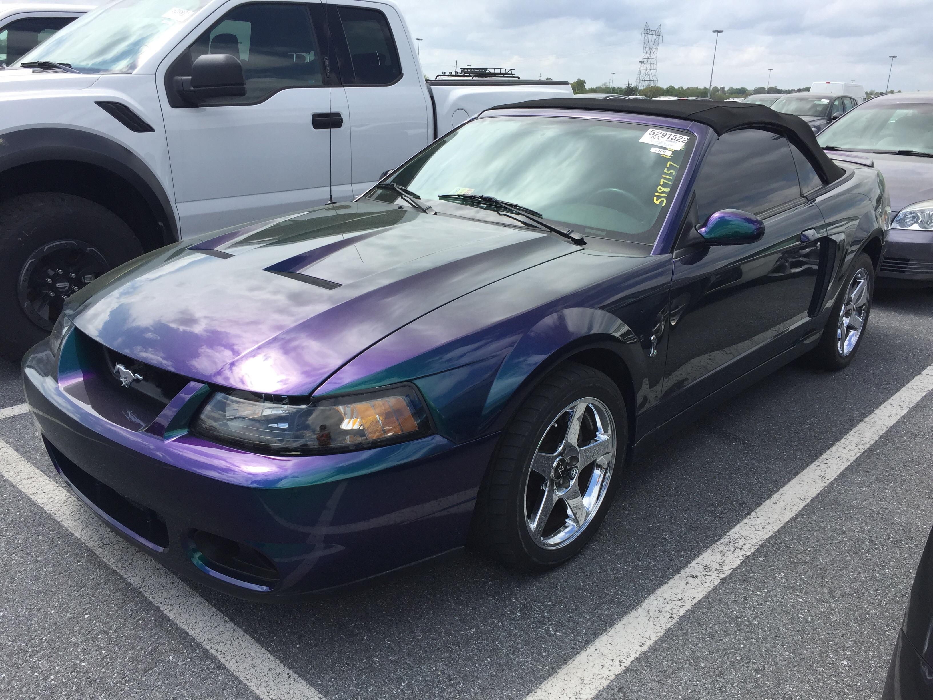 Color changing paint from purple, to green, to blue r/Mustang