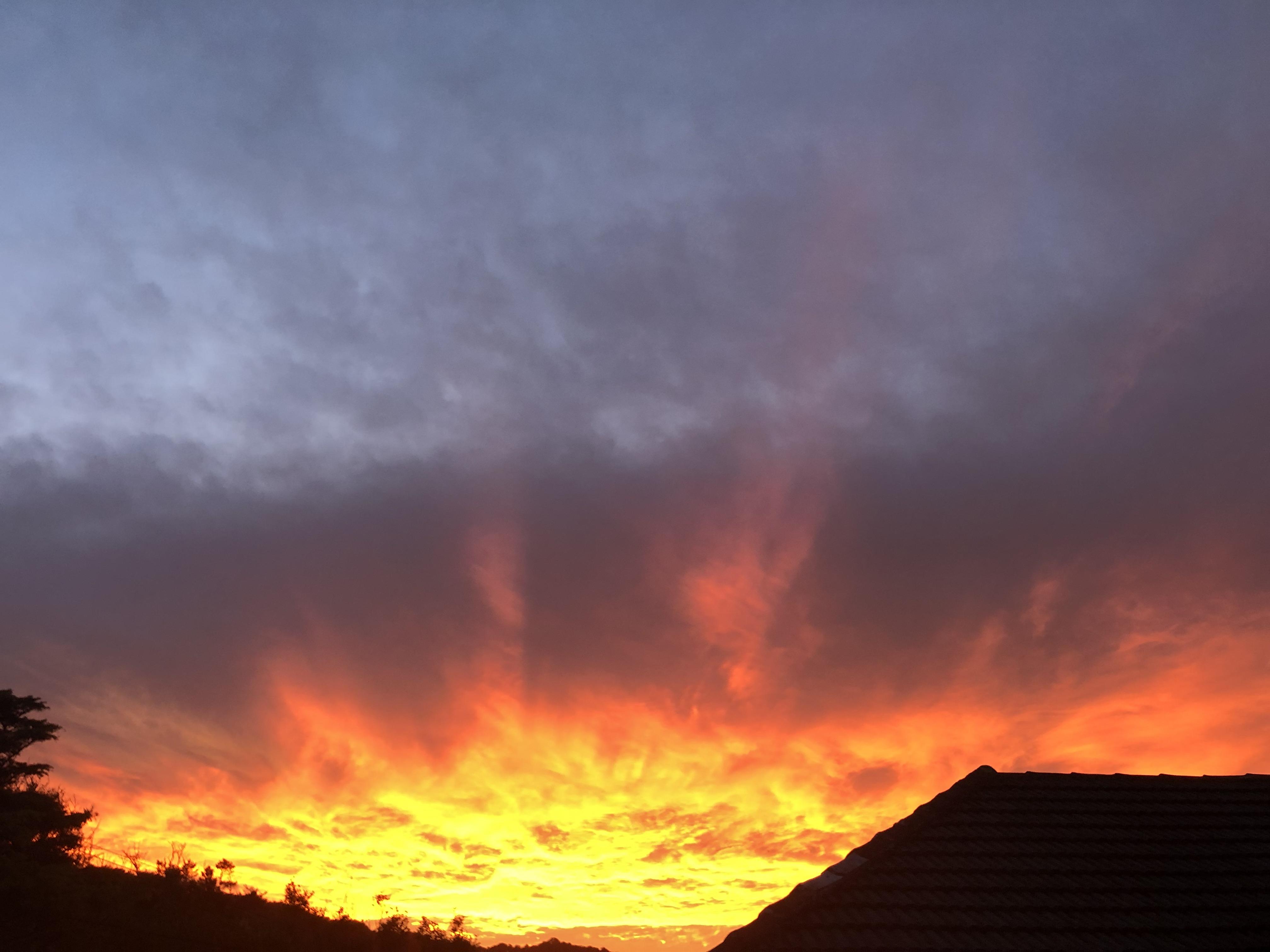 kiwi sunset u/minniewild