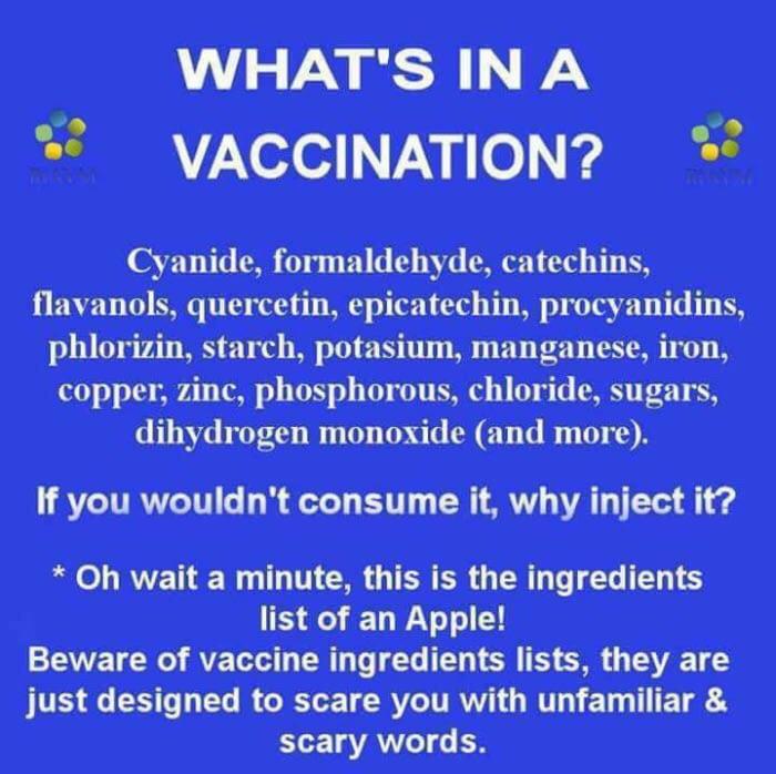 What is in a vaccination? conspiracy
