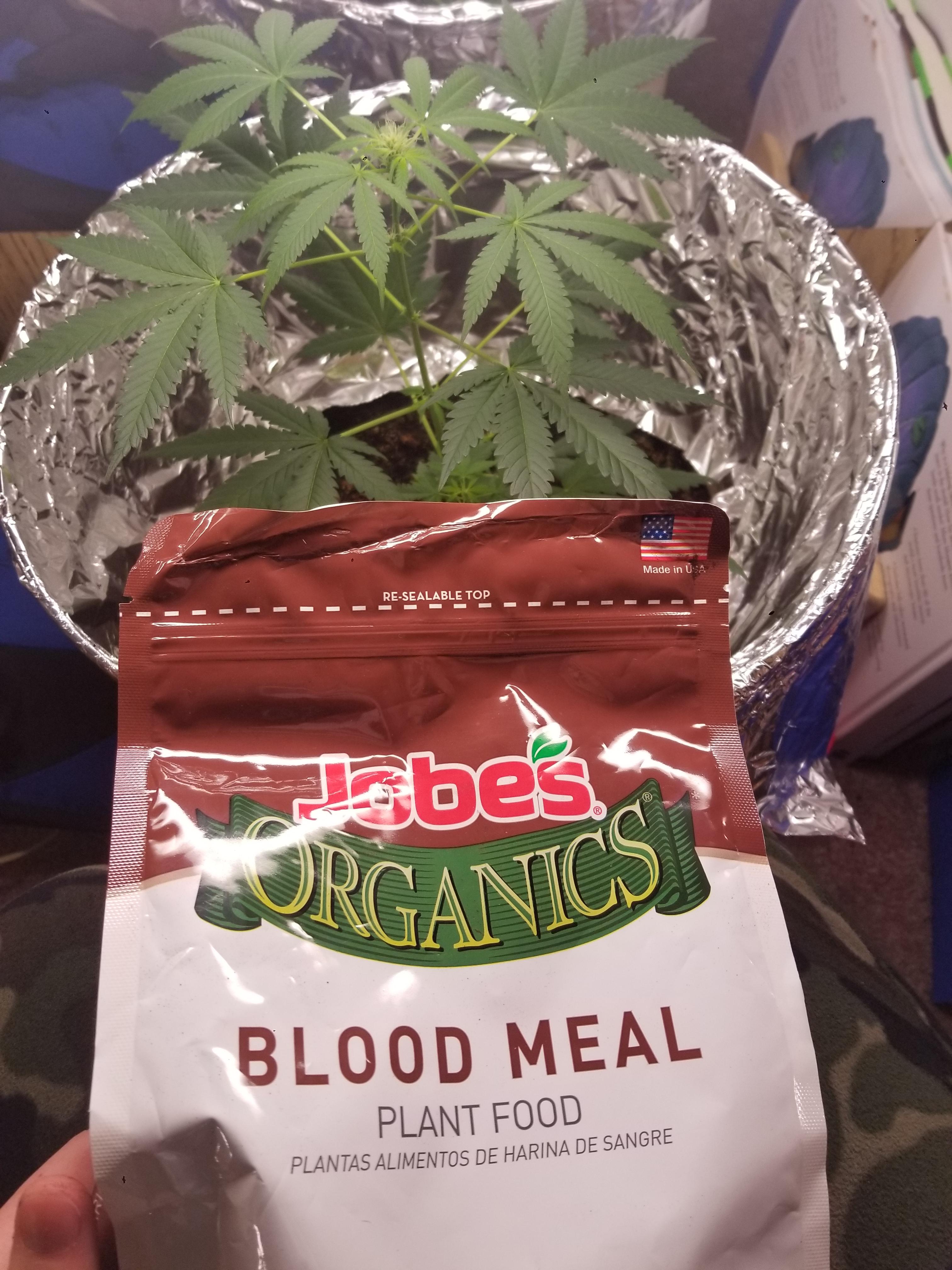 Blood Meal plant food, how much should I use? r/cannabiscultivation