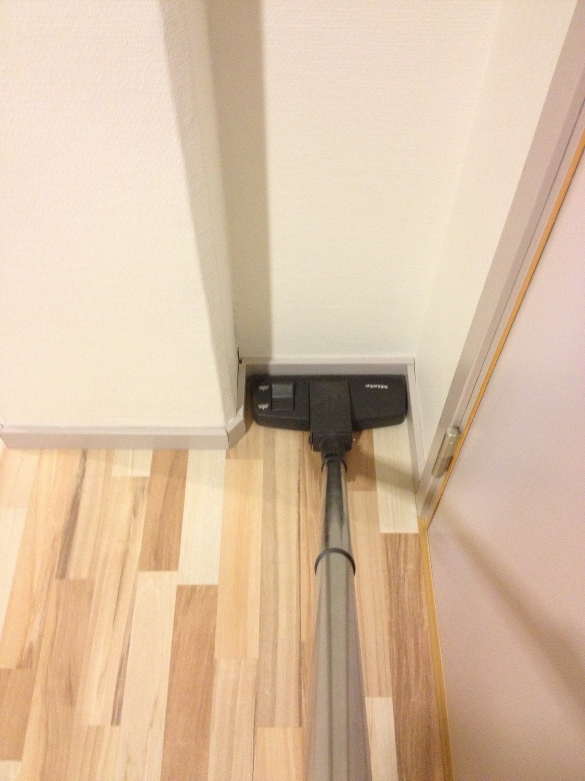 It's safe to say the right vacuum choice was made. r/Perfectfit