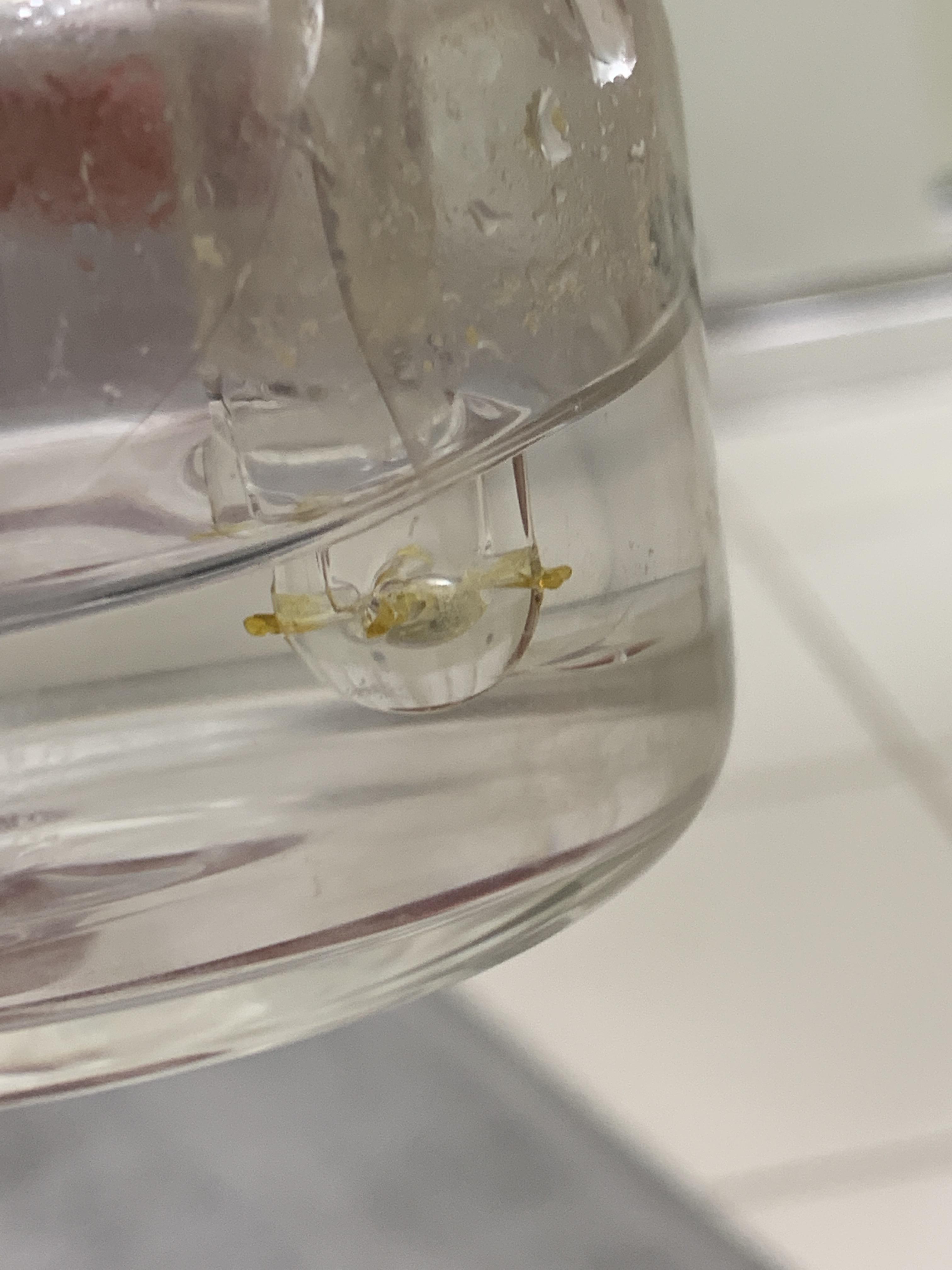 Why does my rig get clogged so fast? r/Dabs