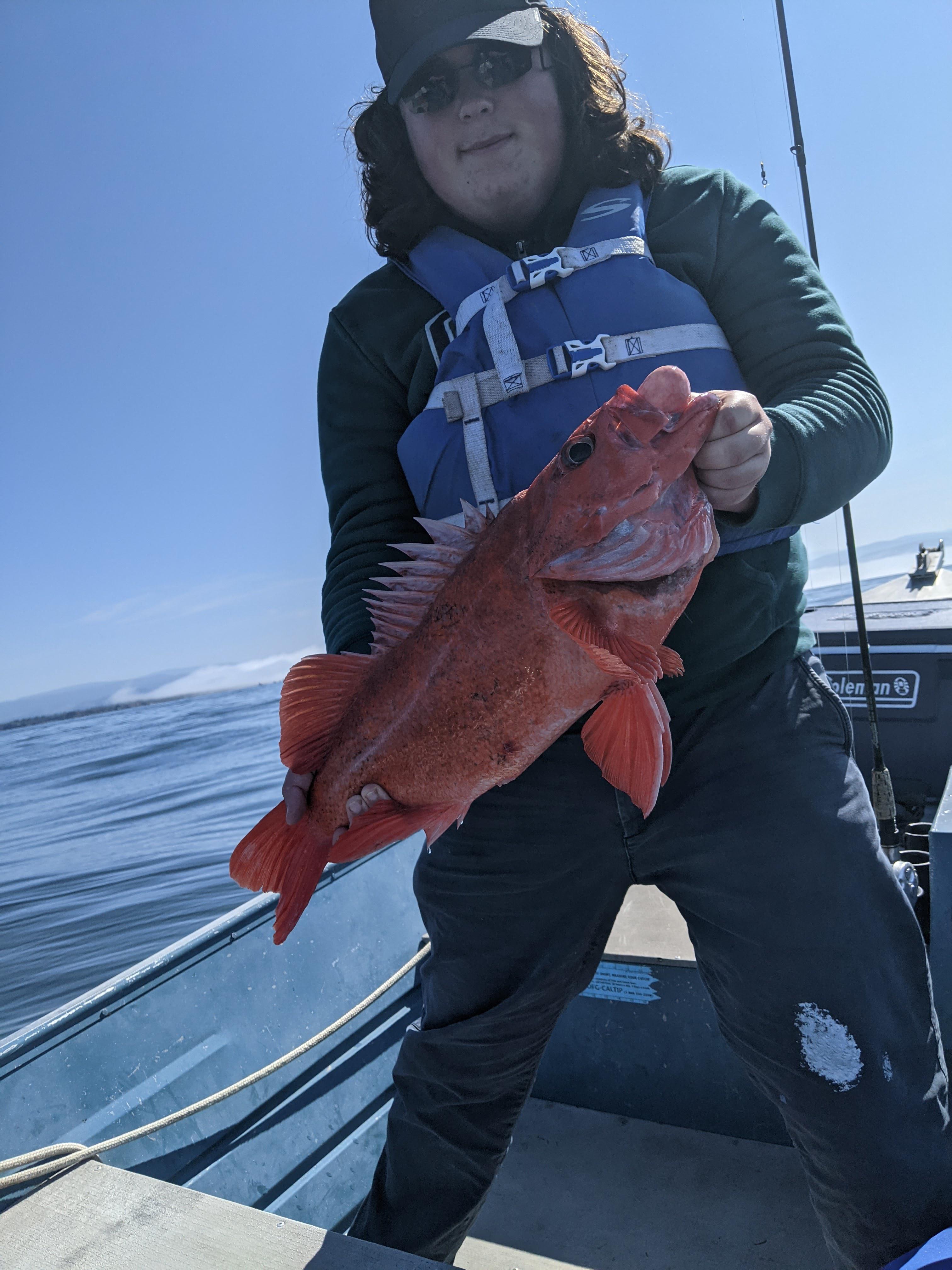 Vermilion Rockfish off of Northern California. r/Fishing