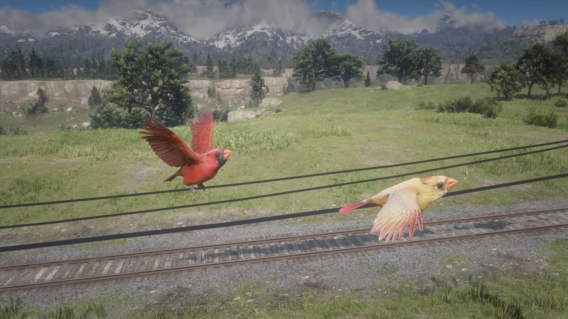 Red Dead Redemption 2 Cardinal Margaret Wiegel™. May 2023