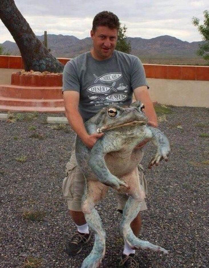 Steve Irwin doing what he loved just weeks before his untimely death