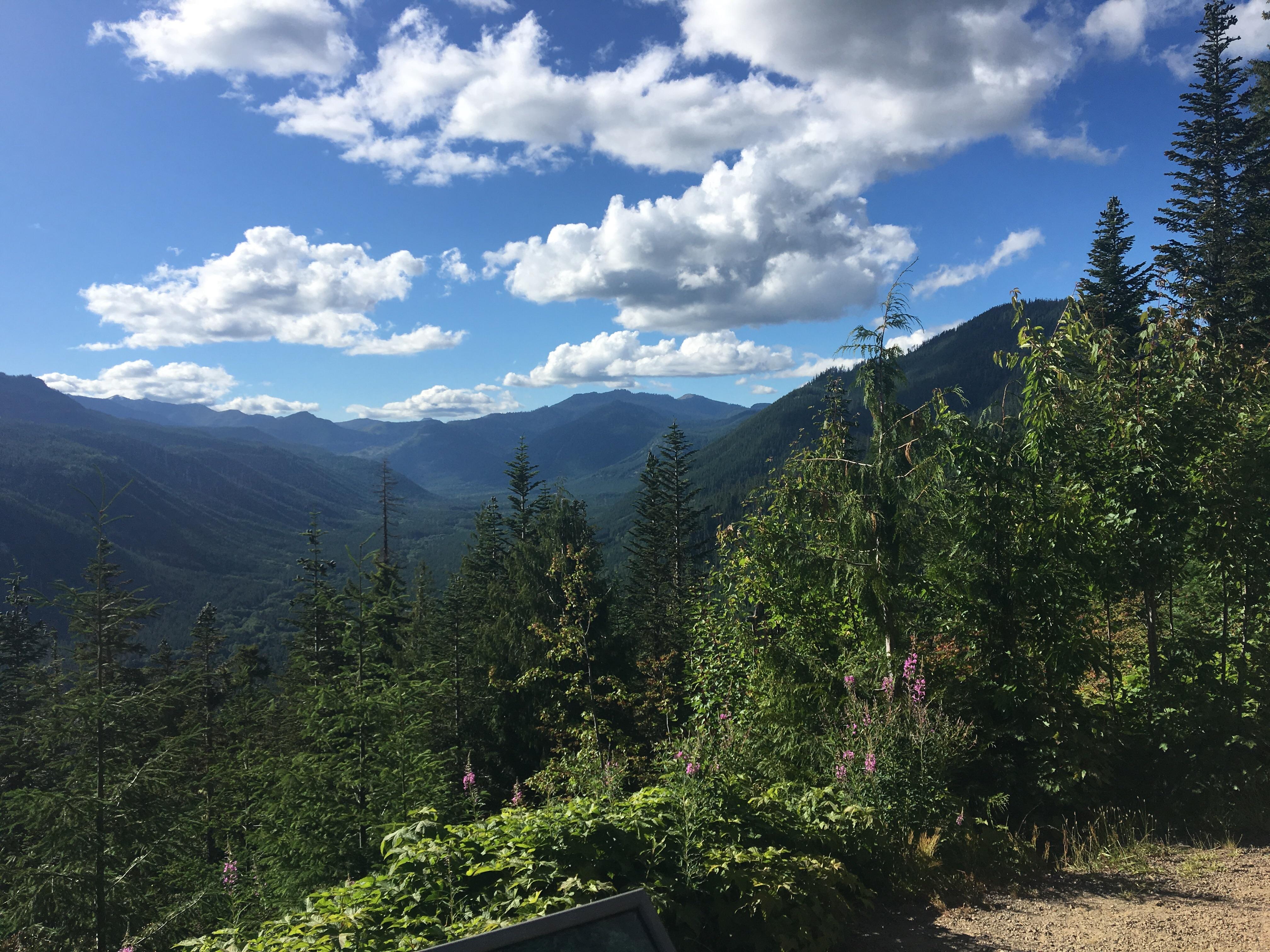 Gifford Pinchot National Forest. r/Washington