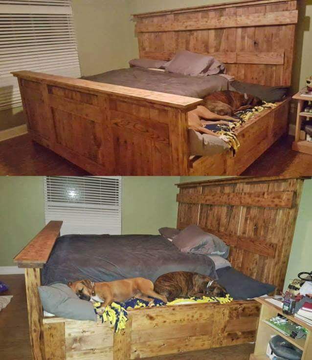 Best bed ever! r/Boxer
