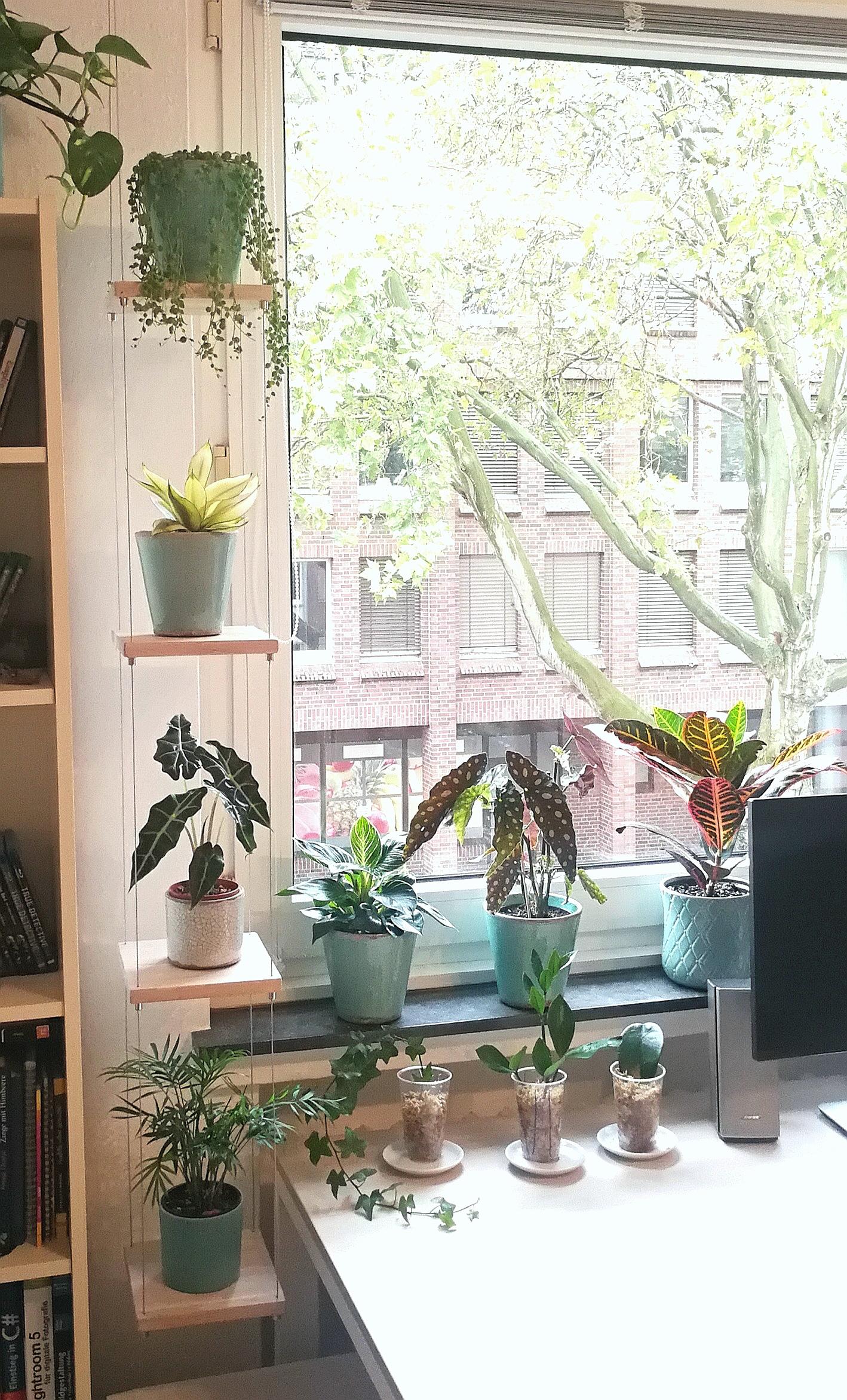 Probably the coolest DIYplant project I finalized so far