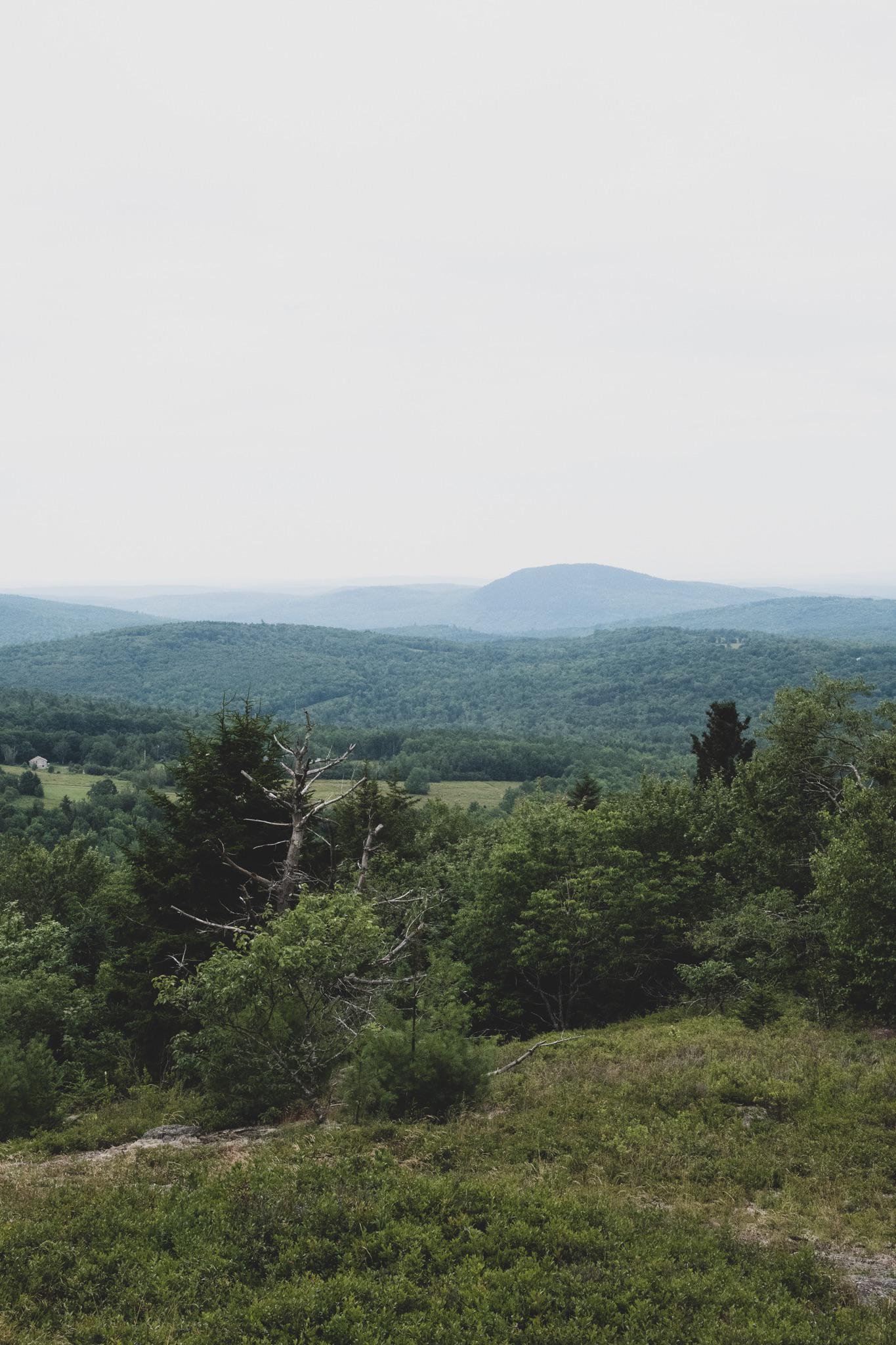 Bald mountain, Dedham Maine r/pics