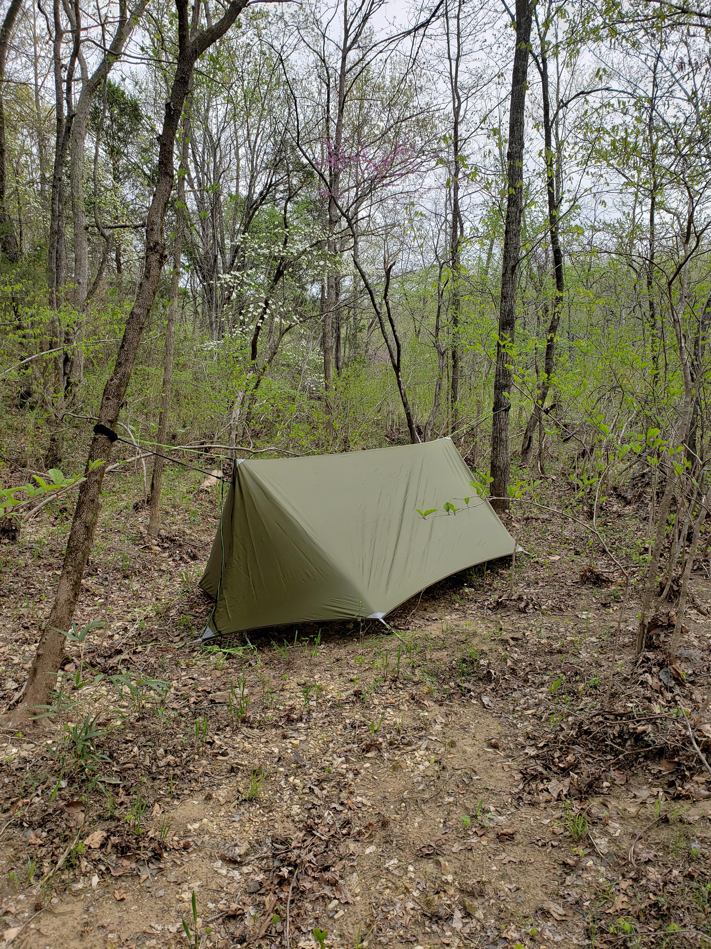 Camping by canoe on the Buffalo River hammockcamping