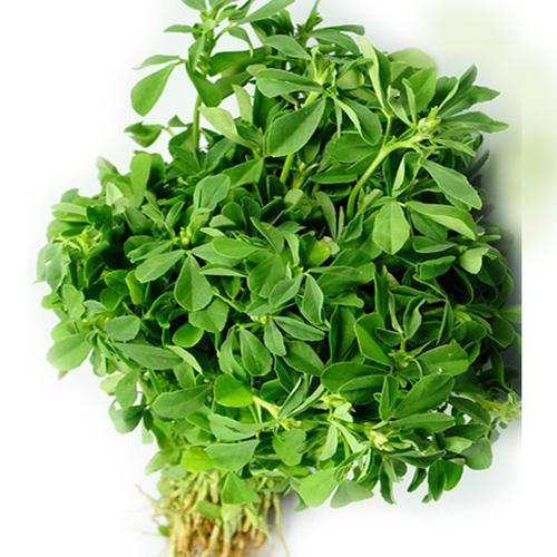 Does anyone know the name of fresh fenugreek in Lebanese? Thank you for your help! r/lebanon