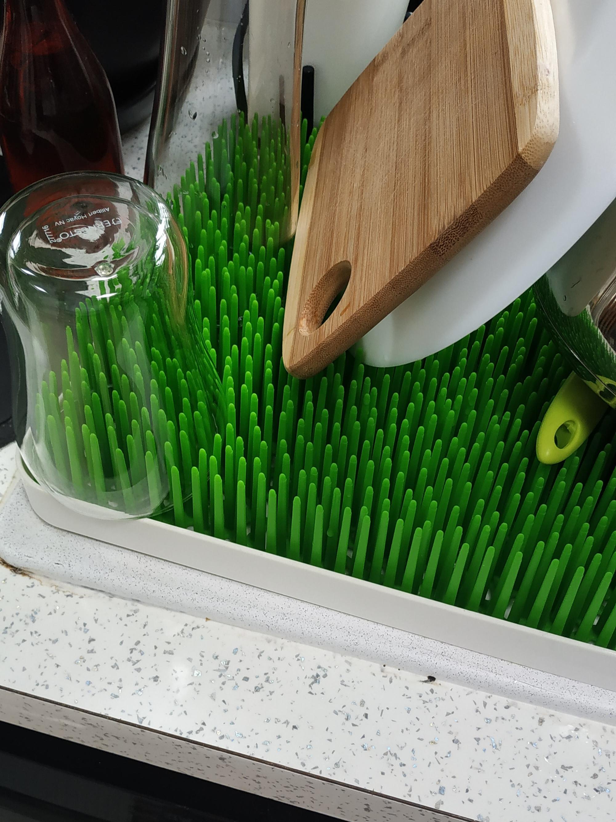 My grasslike dish drying rack r/mildlyinteresting