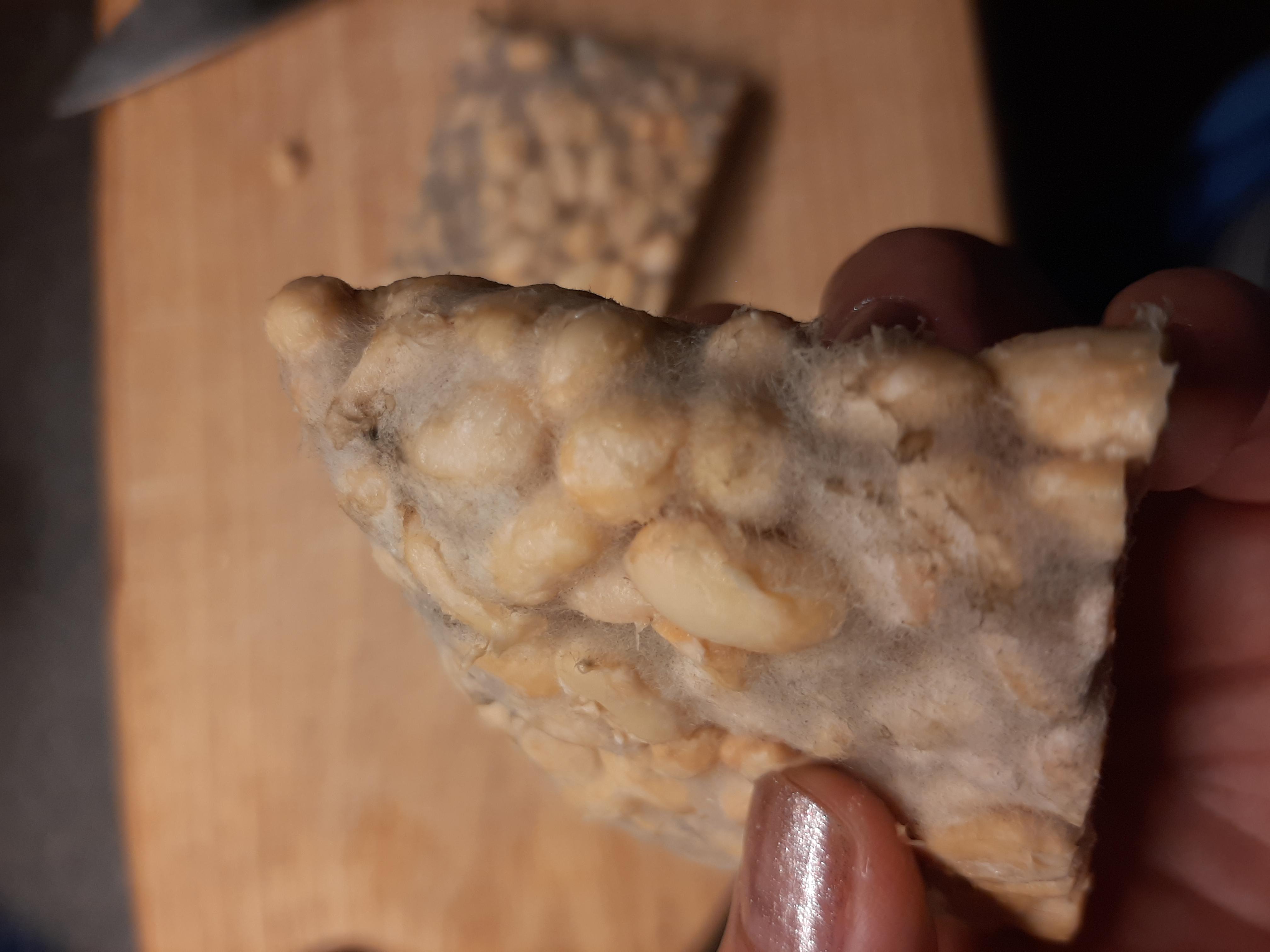 Never prepared tempeh before. I bought some unpasteurized frozen tempeh