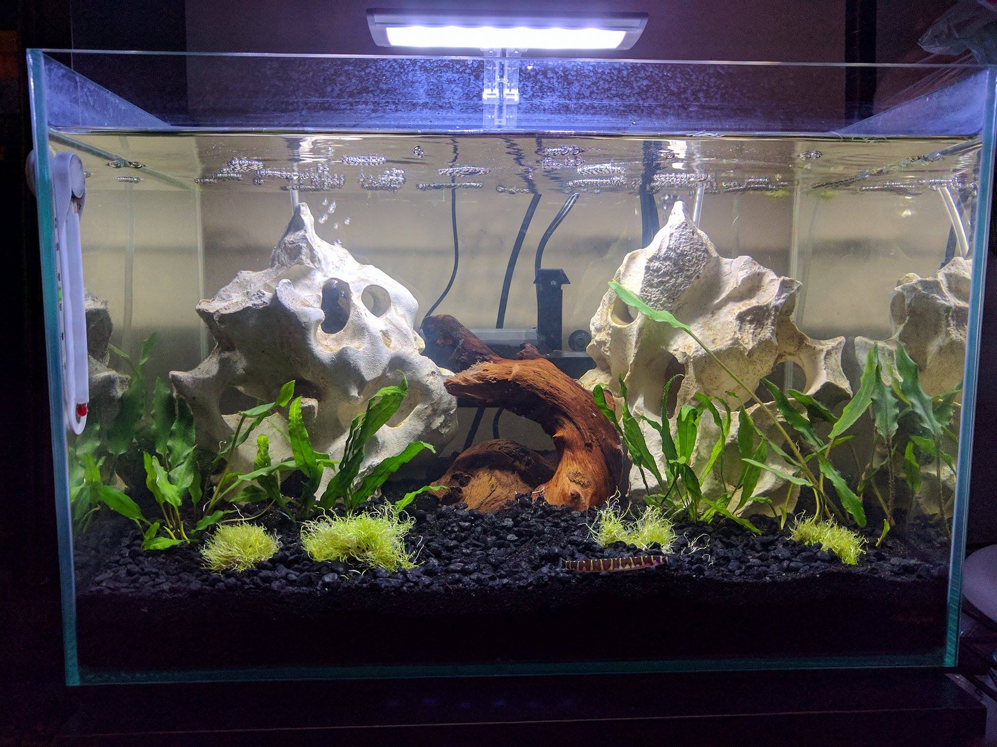 Reddit Dive into anything