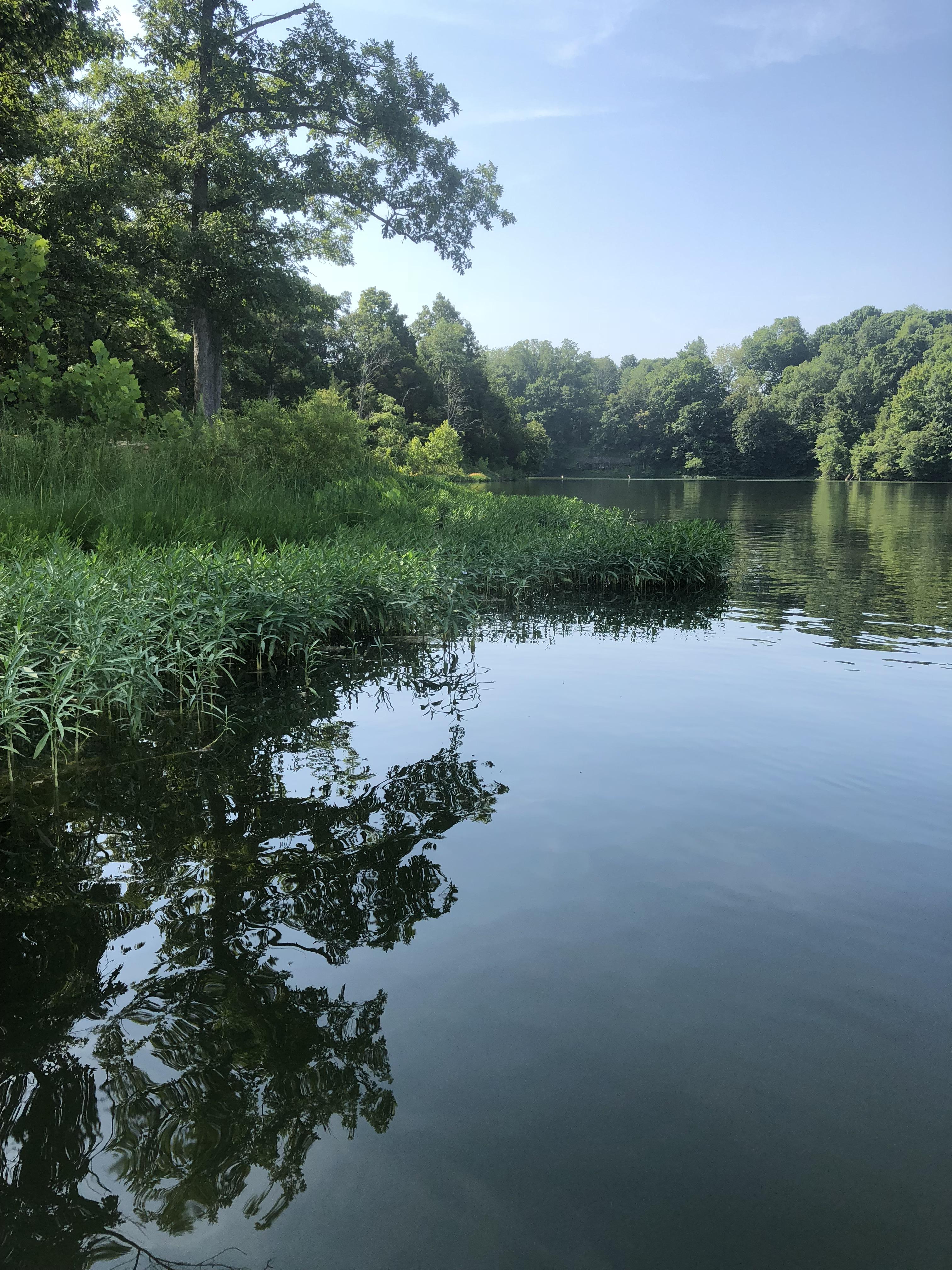 88 best Chickamauga images on Pholder Chattanooga, Bassfishing and