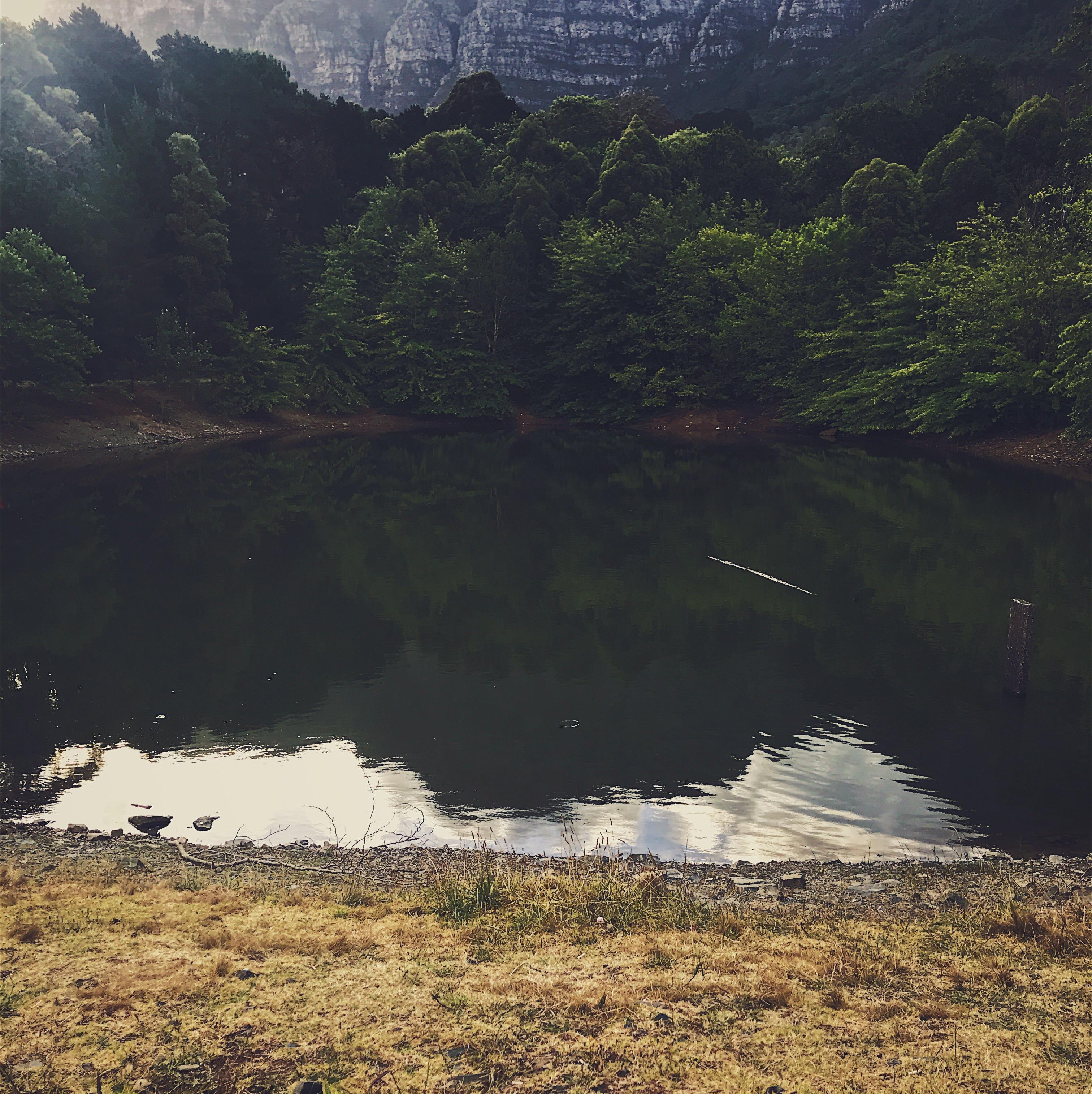 Newlands Forrest dam. Cape Town, South Africa 7+ r/iPhoneography