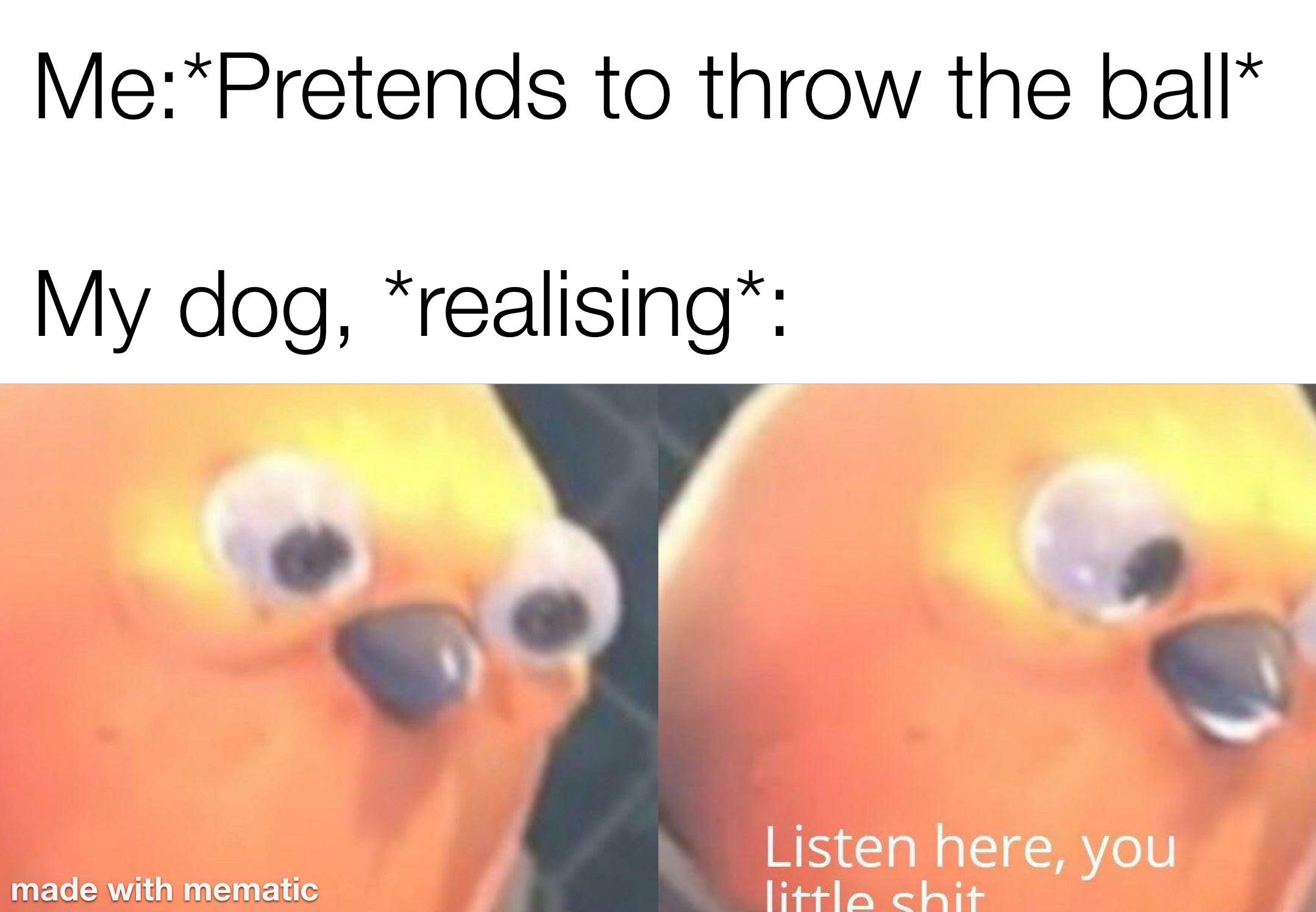 Now Listen Here You Little Meme Pict