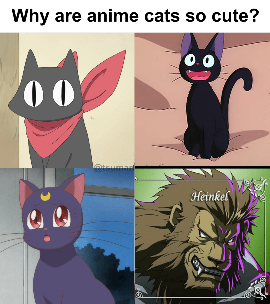 Why are anime cats so cute? r/FullmetalAlchemist