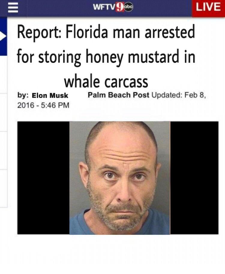 Eu, Eu? Before you put article 13 into practice, are Florida man memes