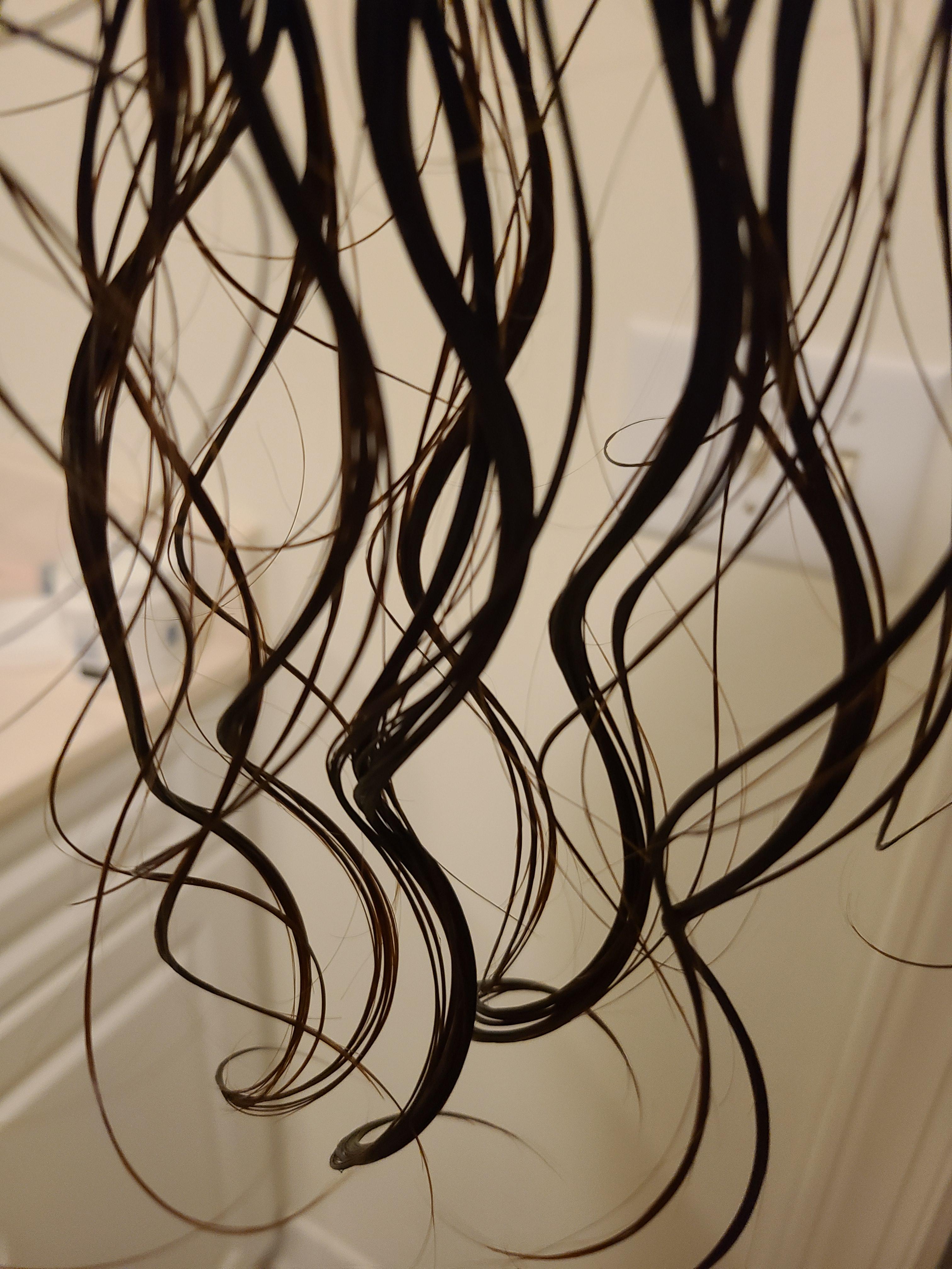 Does my hair need protein? Help! r/curlyhair