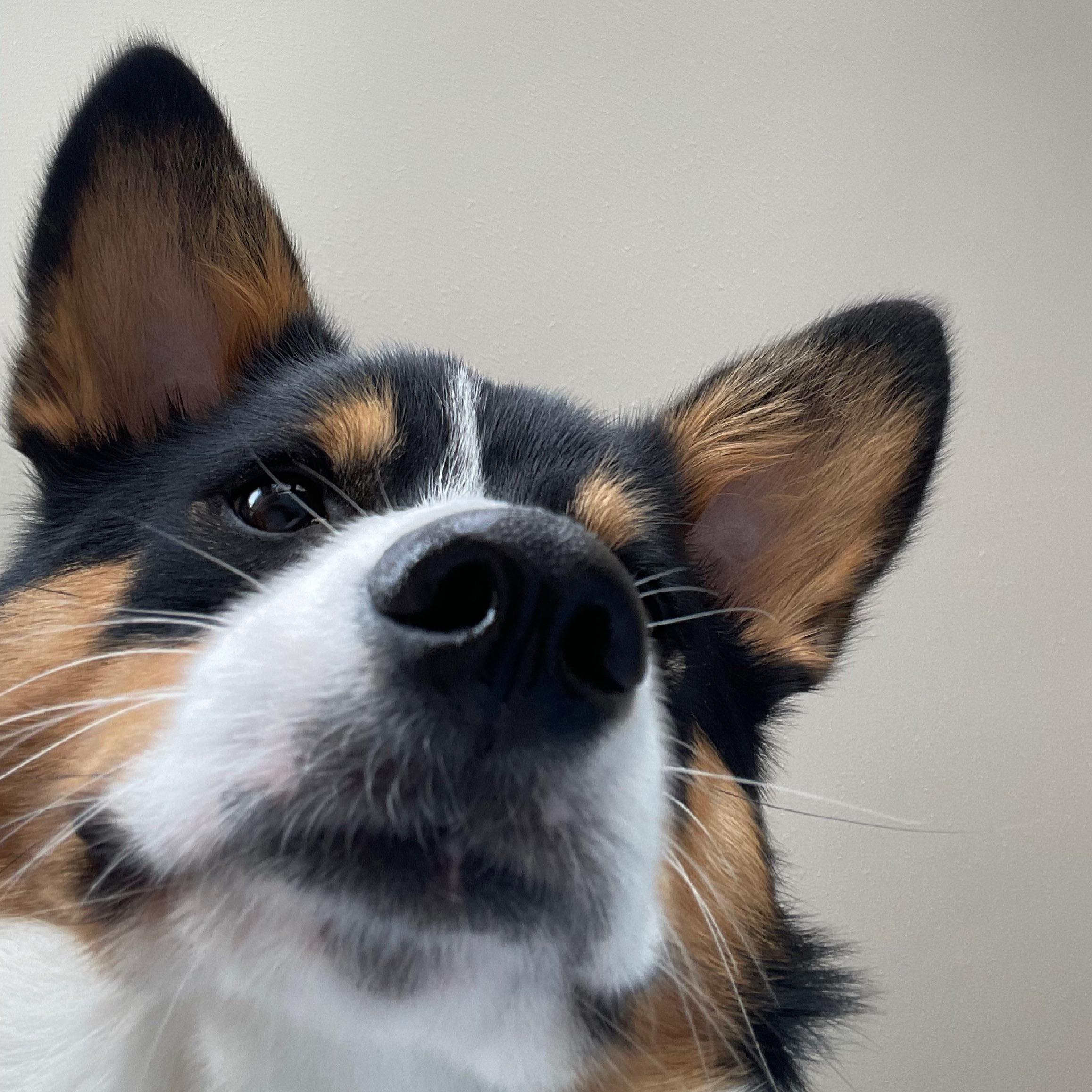 That moment when you log on to Reddit and see a bunch of that