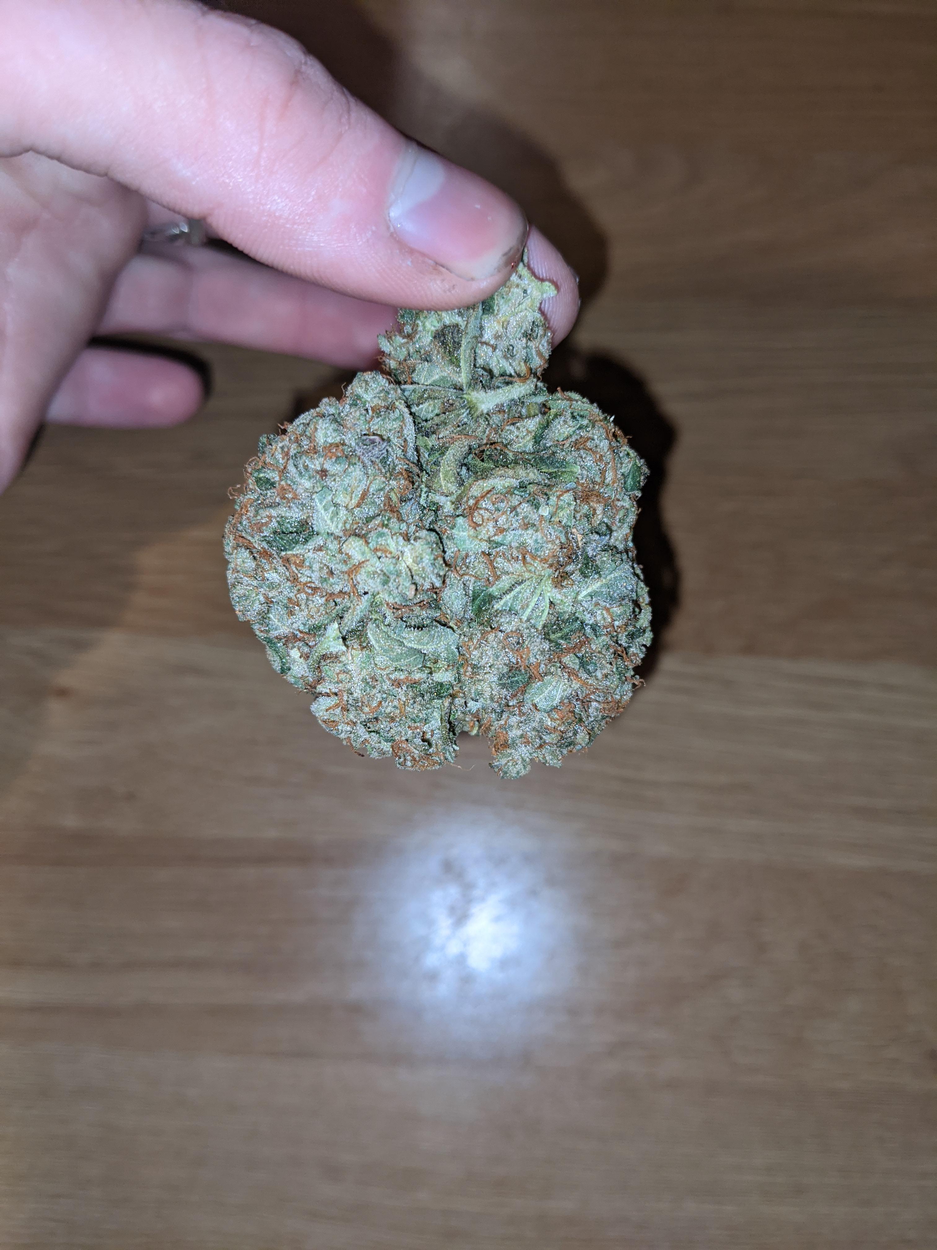 A weed smokers lungs after 10 years of smoking... r/trees