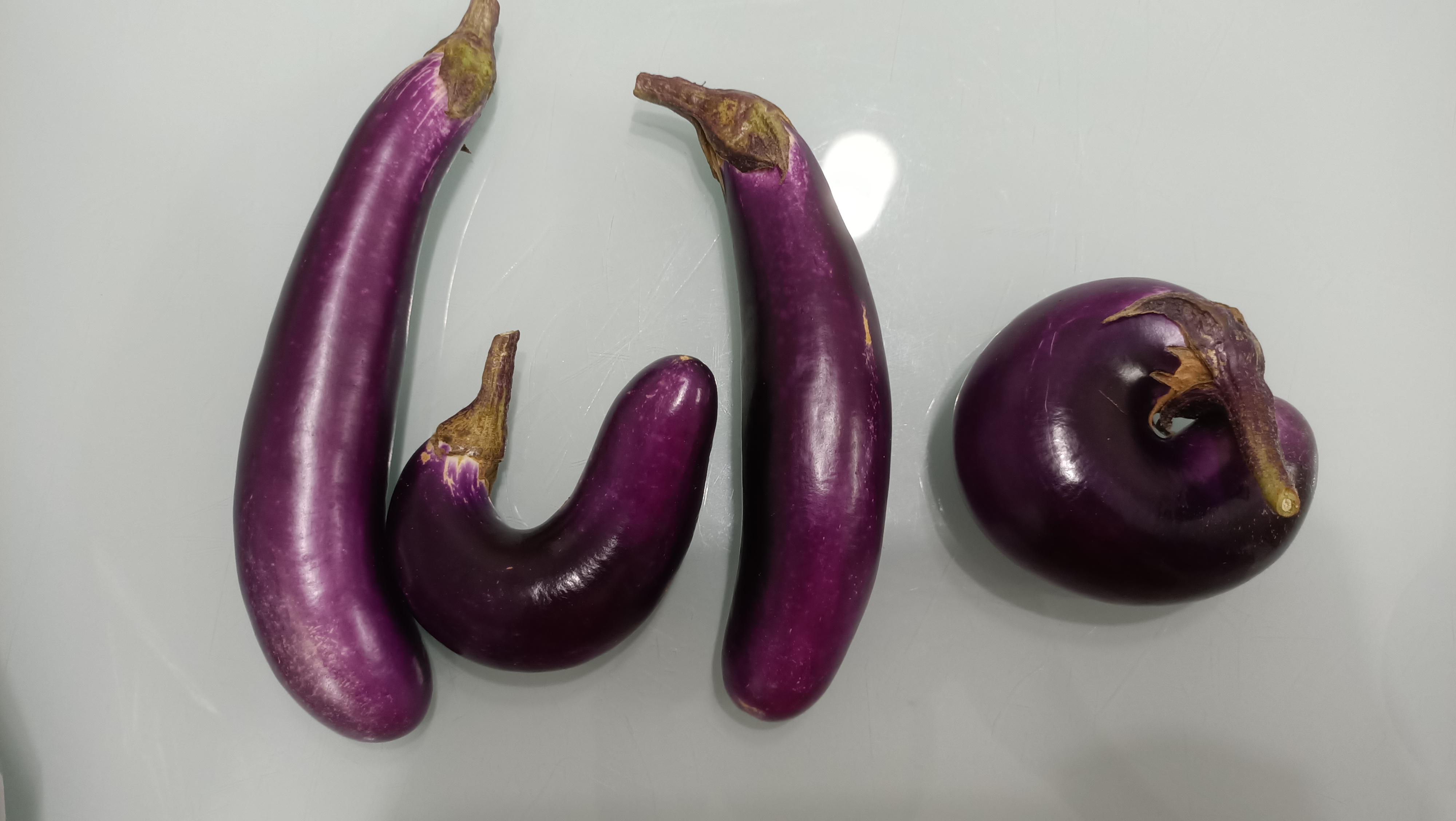Curved eggplants (middle, right) grew in my garden. Normal straight