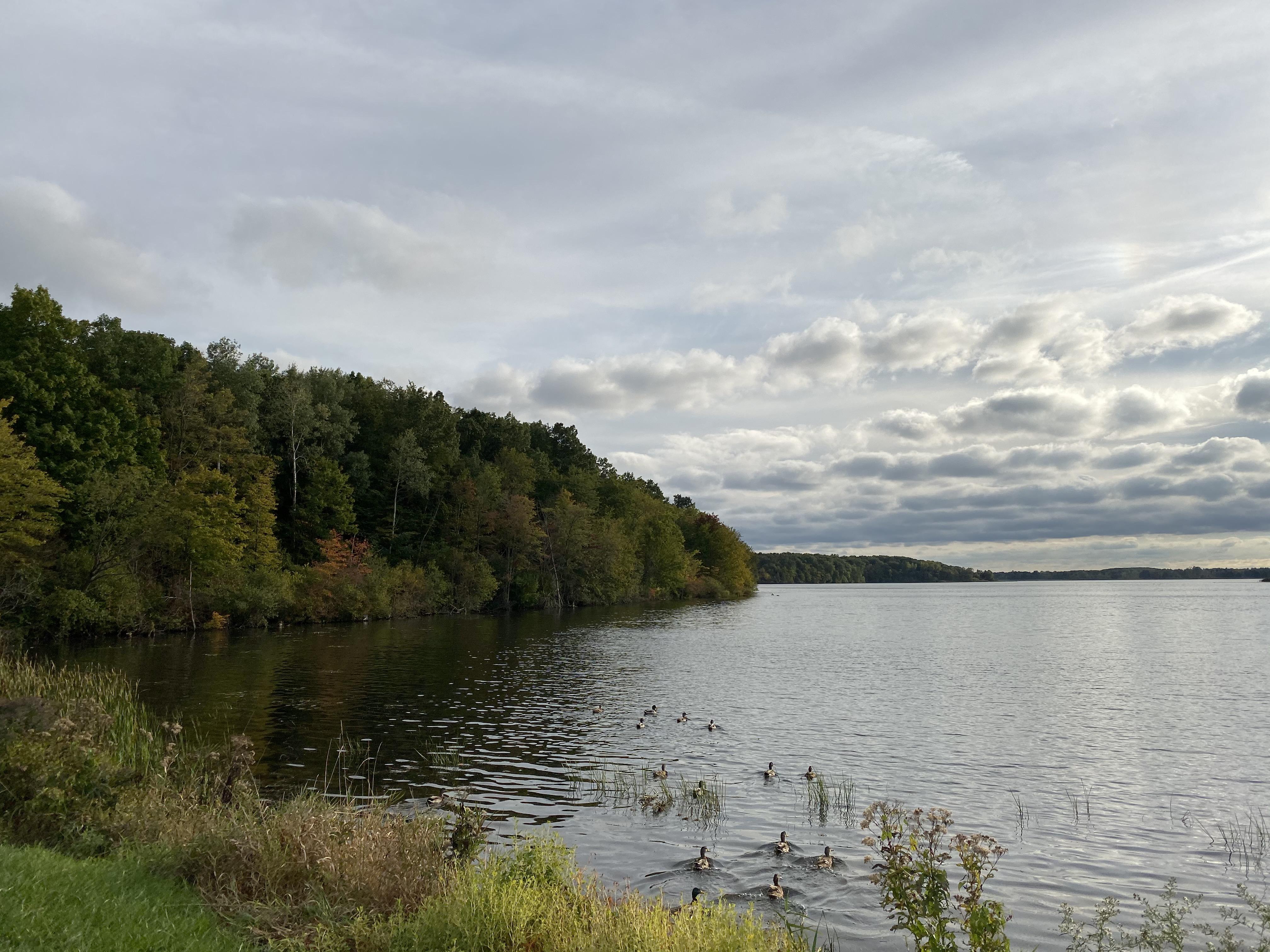 Stoney Creek Metro Park Fishing FISHING OPK
