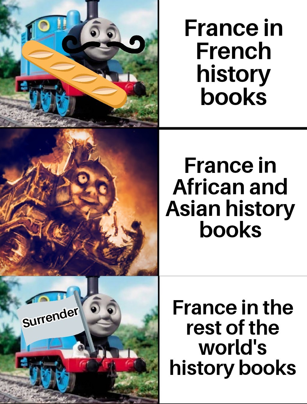 The french won some wars too r/HistoryMemes