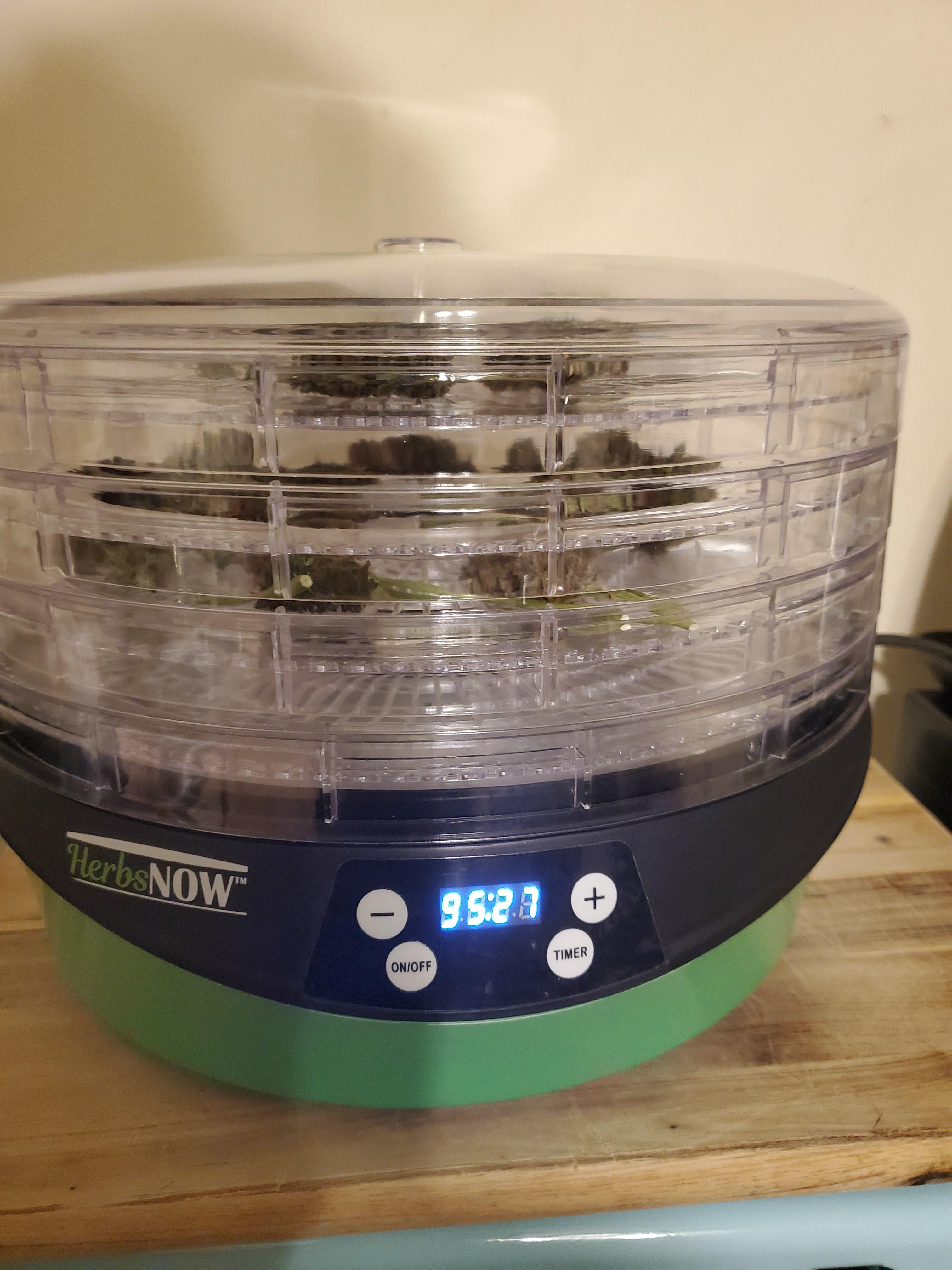 First dry using new herbs now dryer. r/Autoflowers