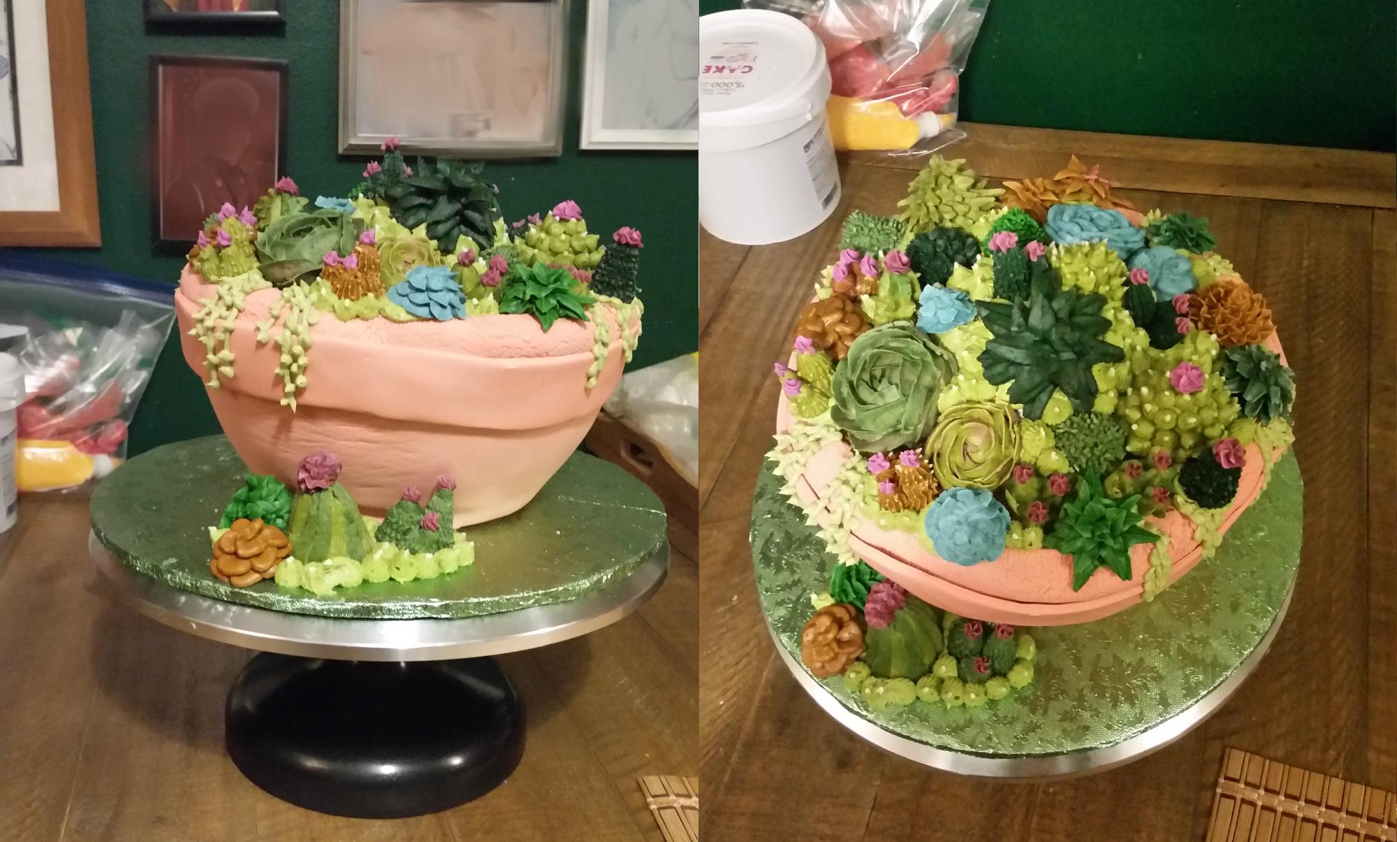 Succulents in a Terracotta Pot Cake r/cakedecorating