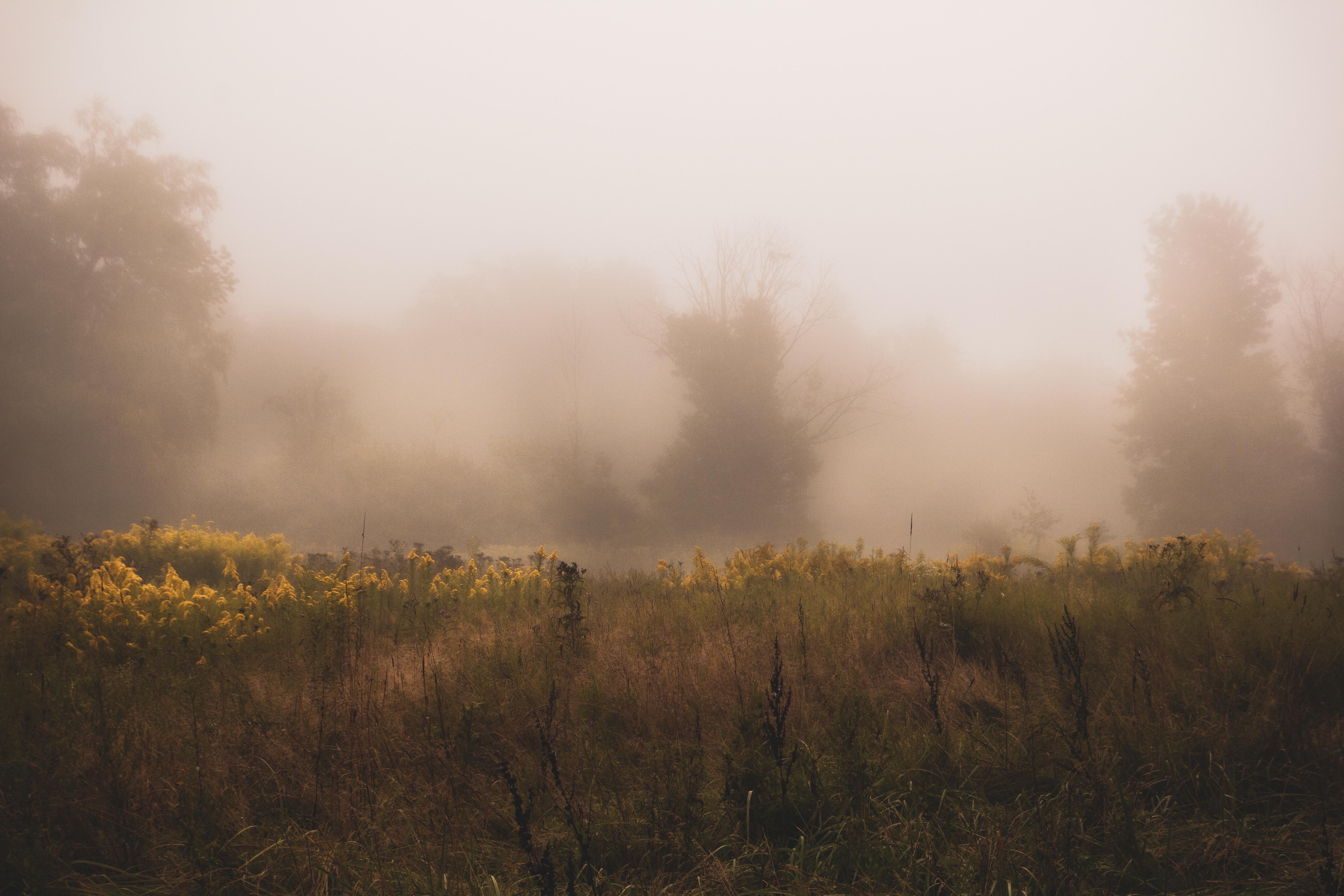 Foggy mornings will always be my favorite, and I'm ecstatic they are