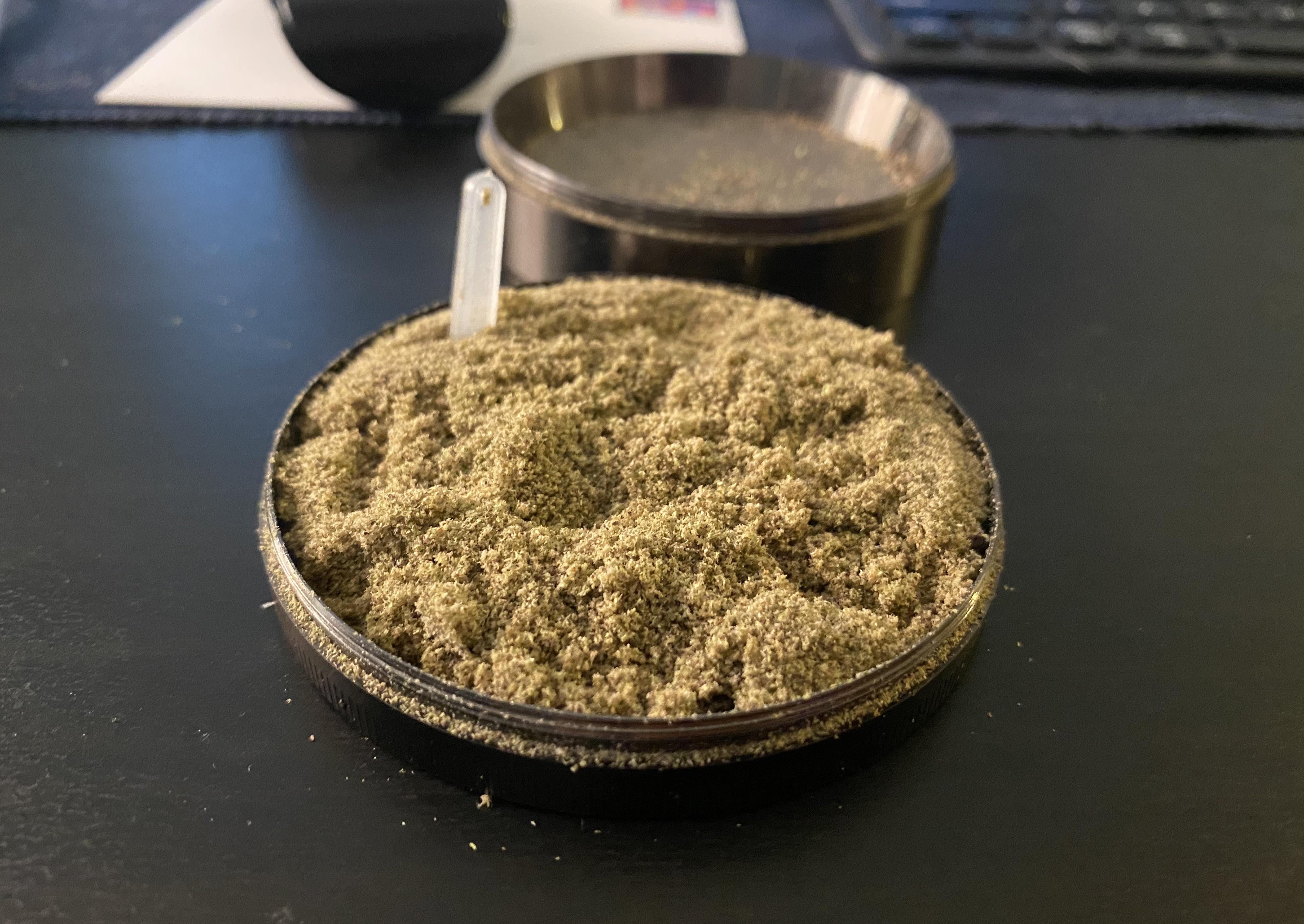Olvidé revisar la cámara de kief durante un año. r/marihuana