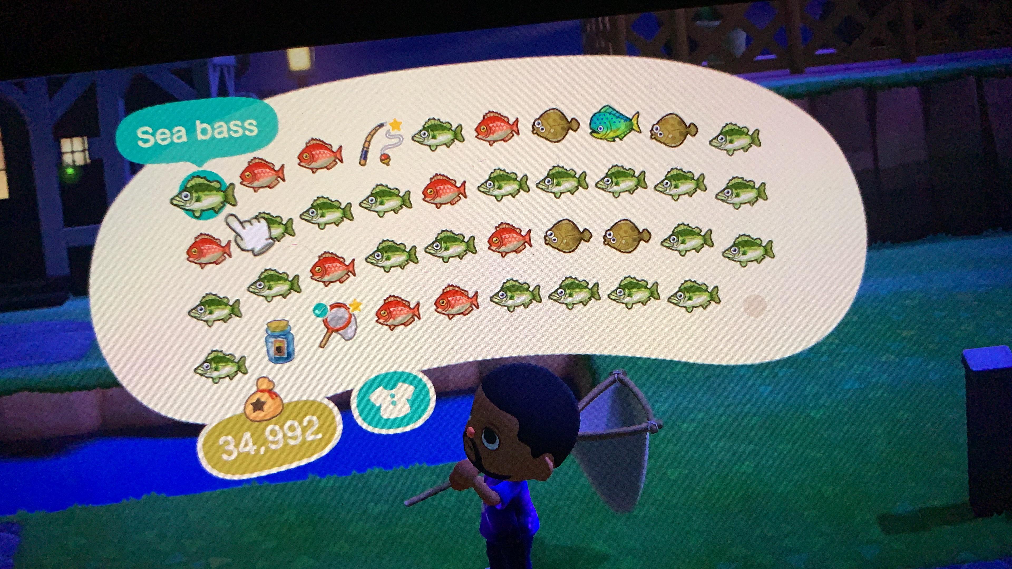 Trying to catch the Mahi Mahi made me hate fishing r/AnimalCrossing