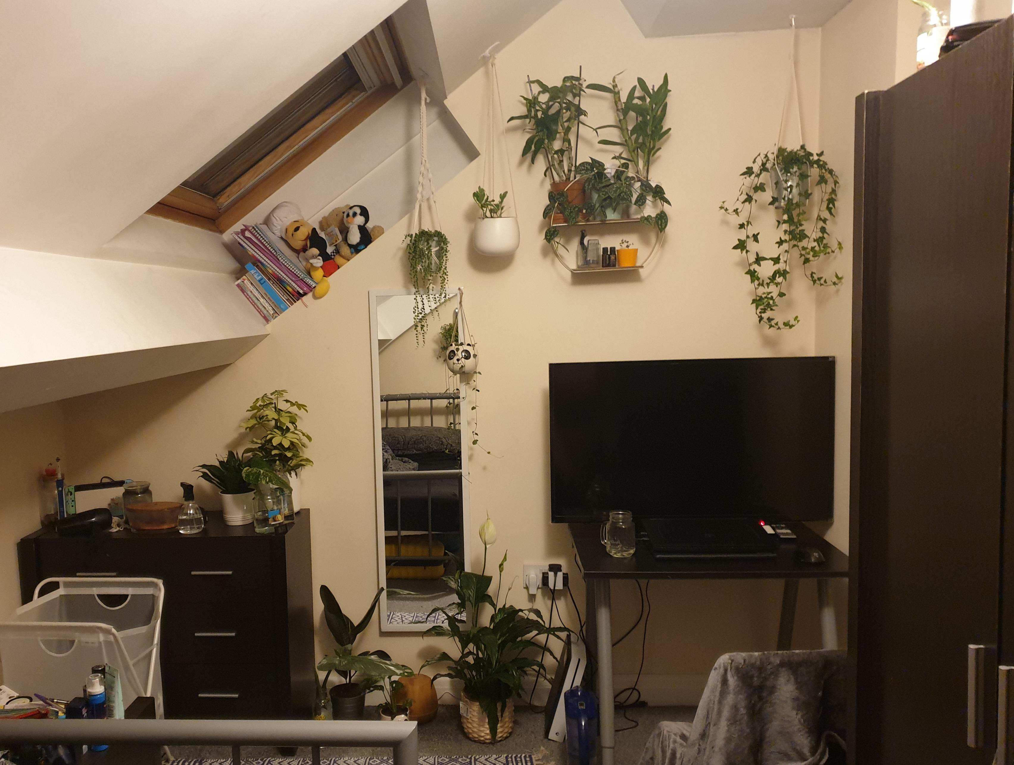 My university room is fairly small, yet I still managed to fit as many