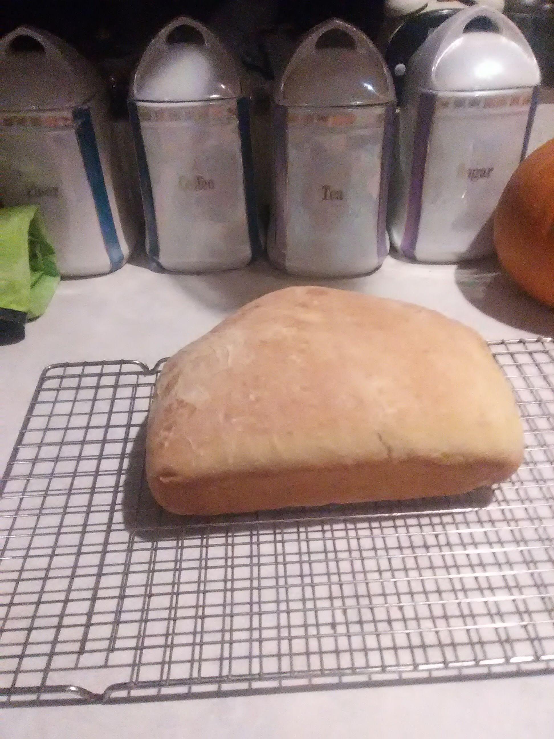 Tried the mead bread thing... r/mead