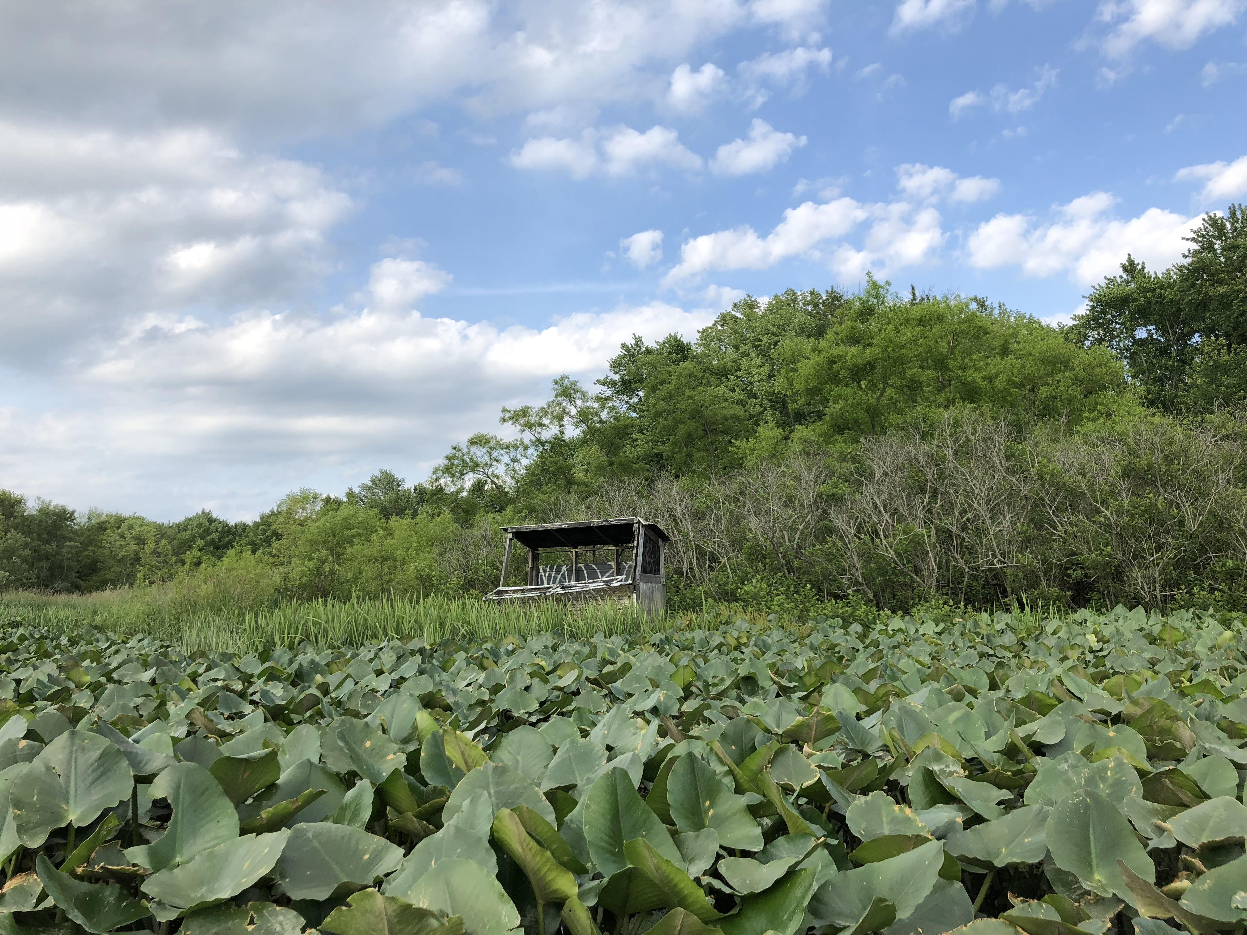 Found a lost lake, took work to get there, totally worth it. r/Kayaking