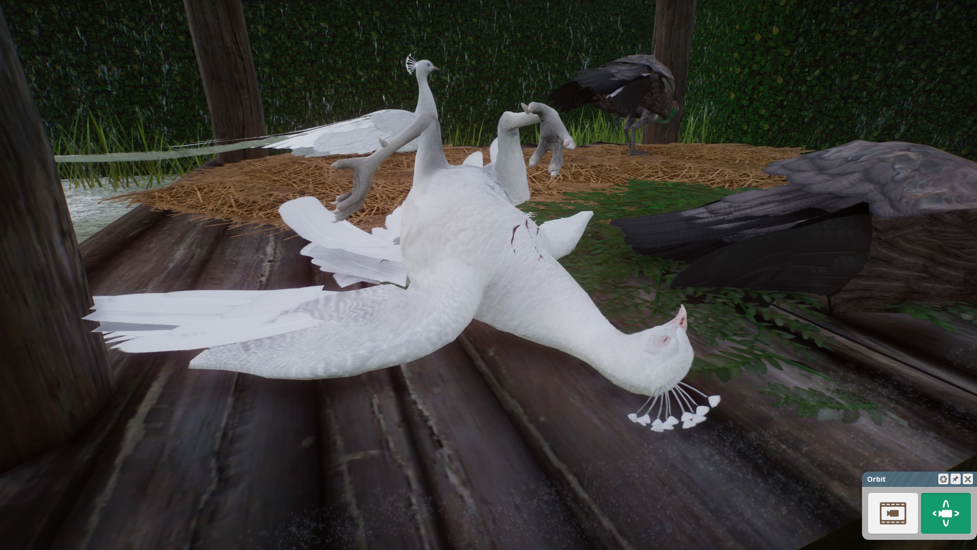 Every time an animal dies in my zoo, I take a screenshot and send it to